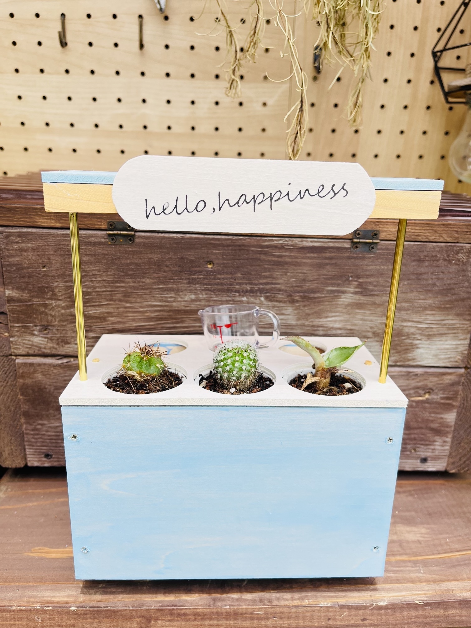カトラリーケースにサボテン🌵 | CAINZ DIY Square