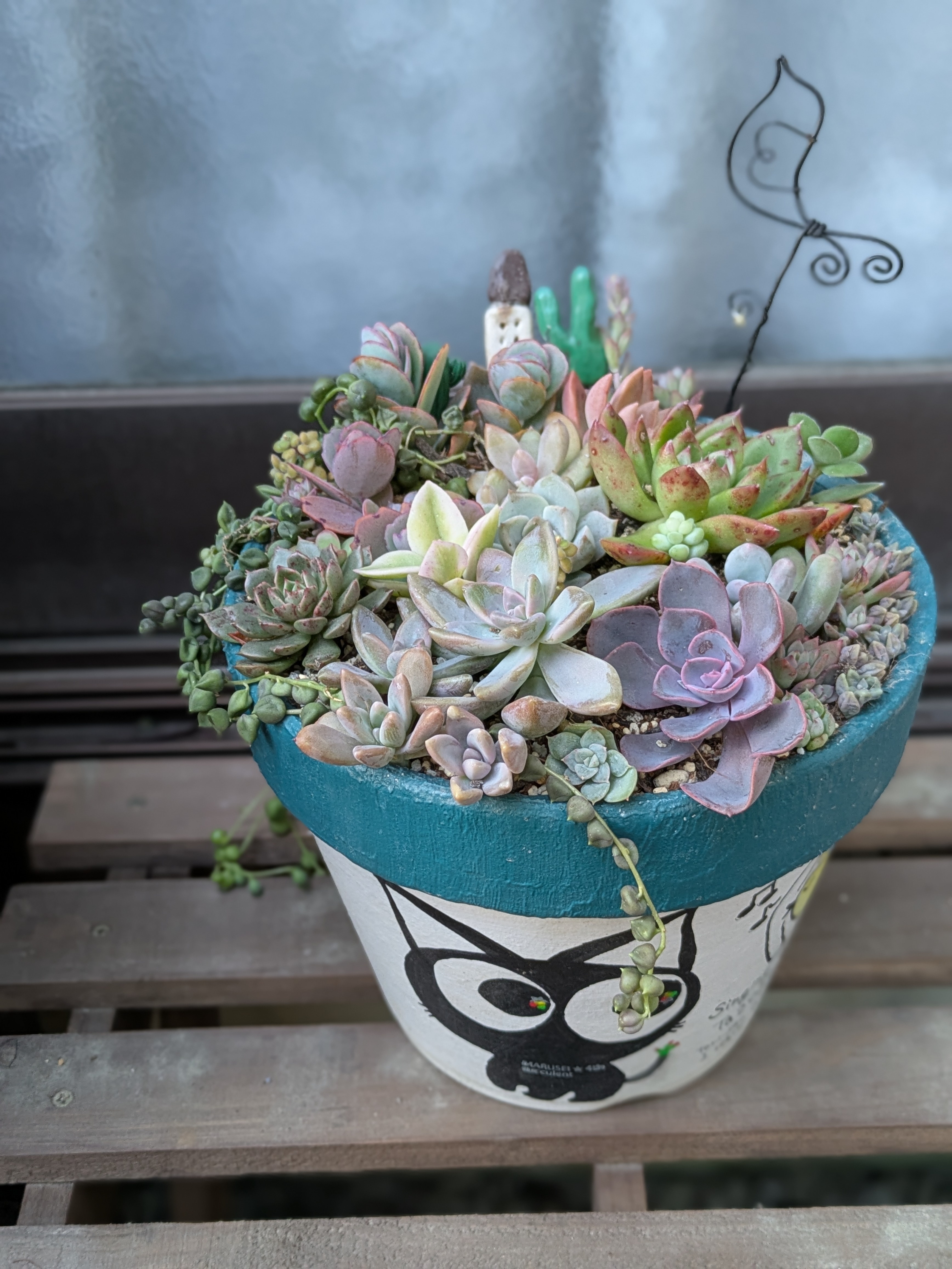 多肉ポイポイ鉢 | CAINZ DIY Square