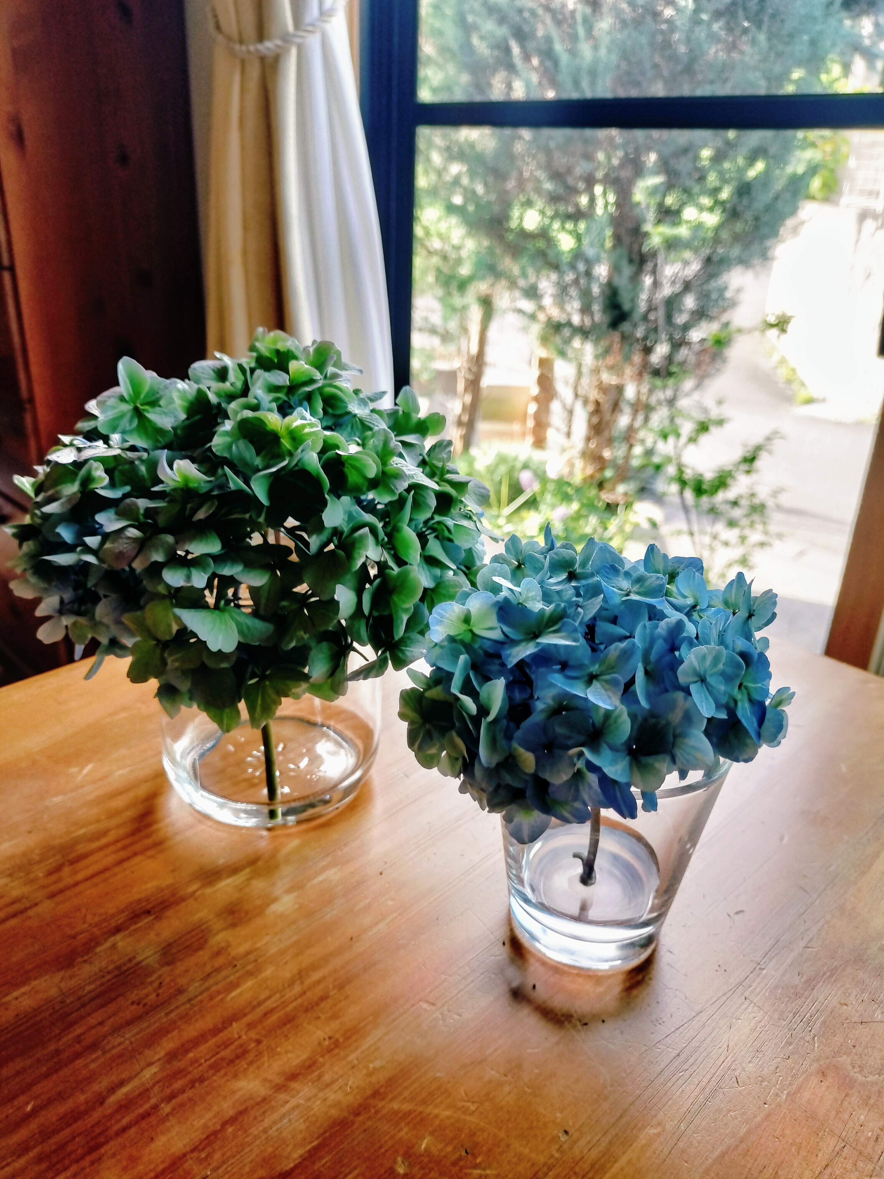 初めての紫陽花ドライフラワーに挑戦 | CAINZ DIY Square