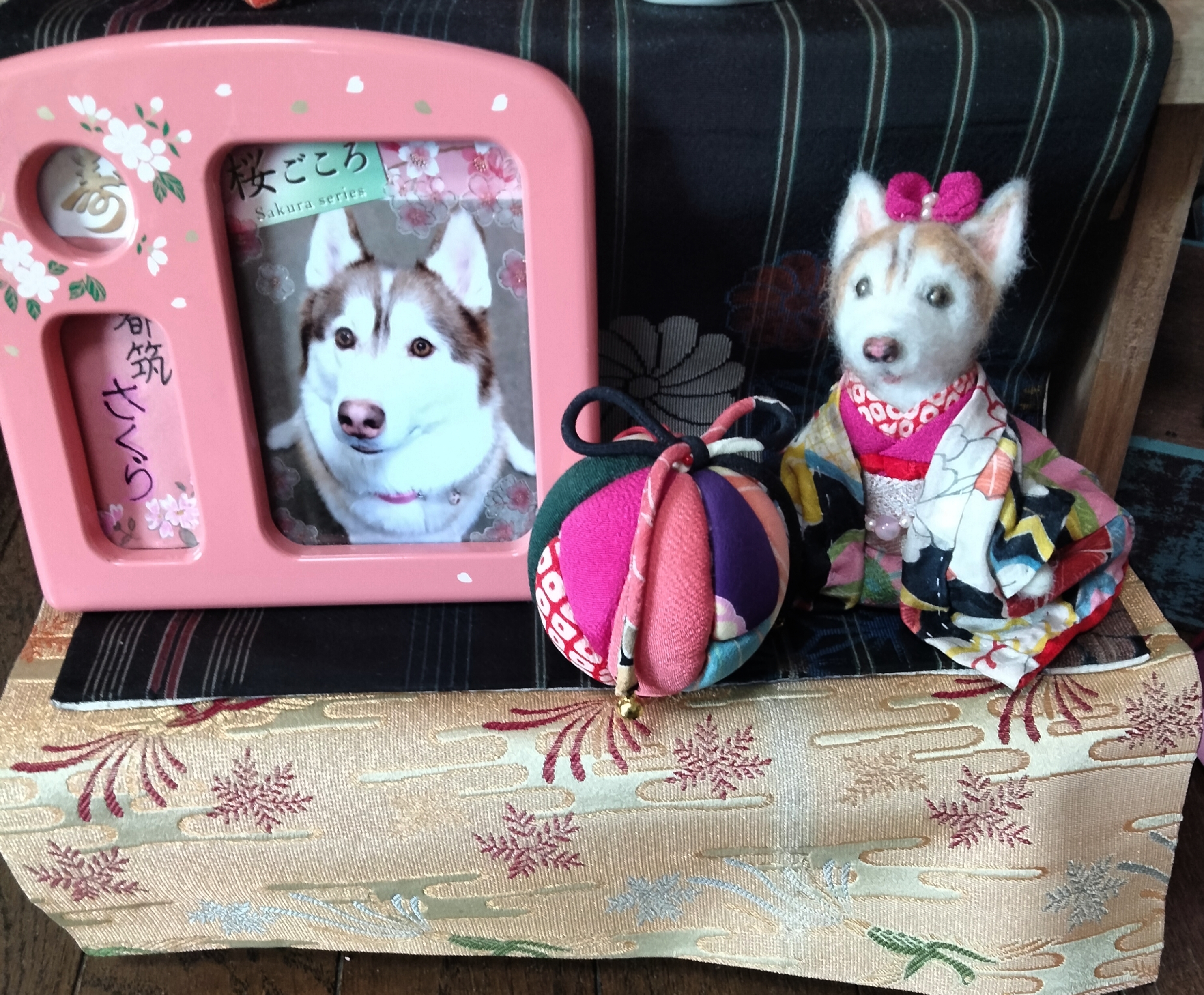 愛犬お雛様シリーズ🐺🌸