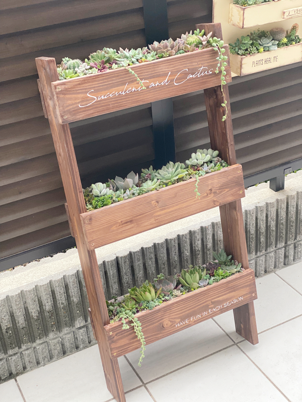 ラピュタ プランター リメイク ラピュタ プランター リメイク ラピュタ