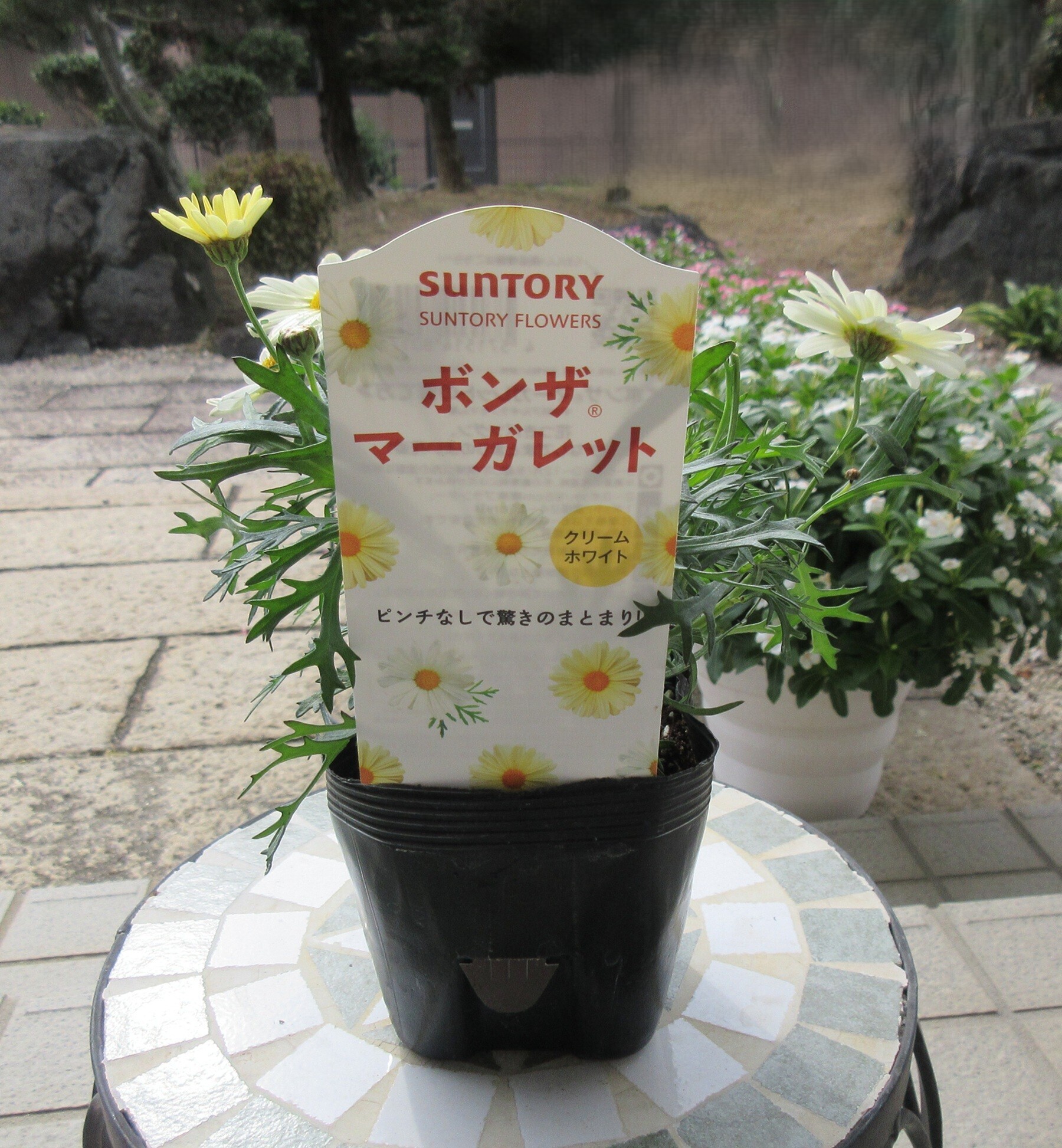 7cc3fc42-1565-42fb-8fda-