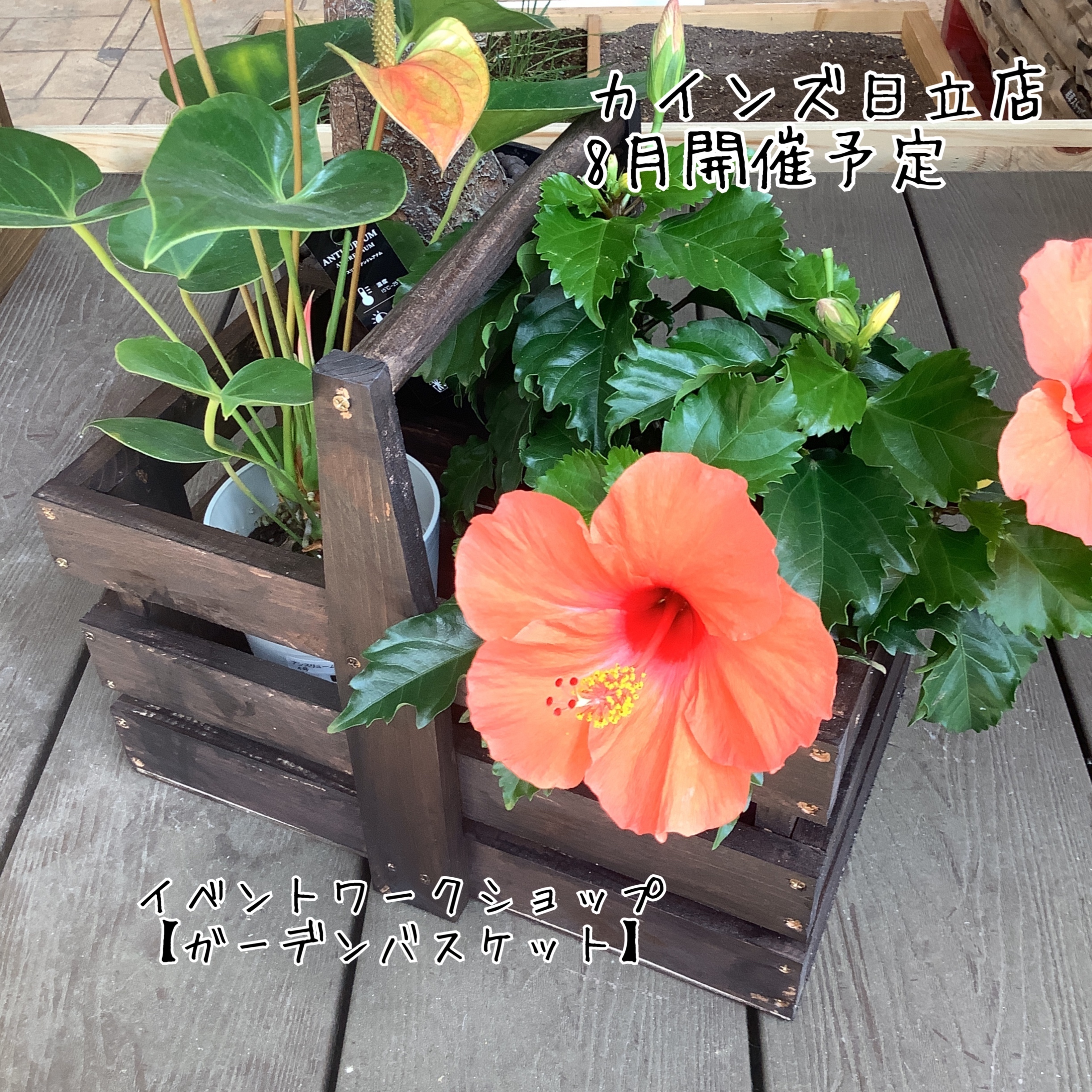 2524bf4f-74b7-4ae4-9187-