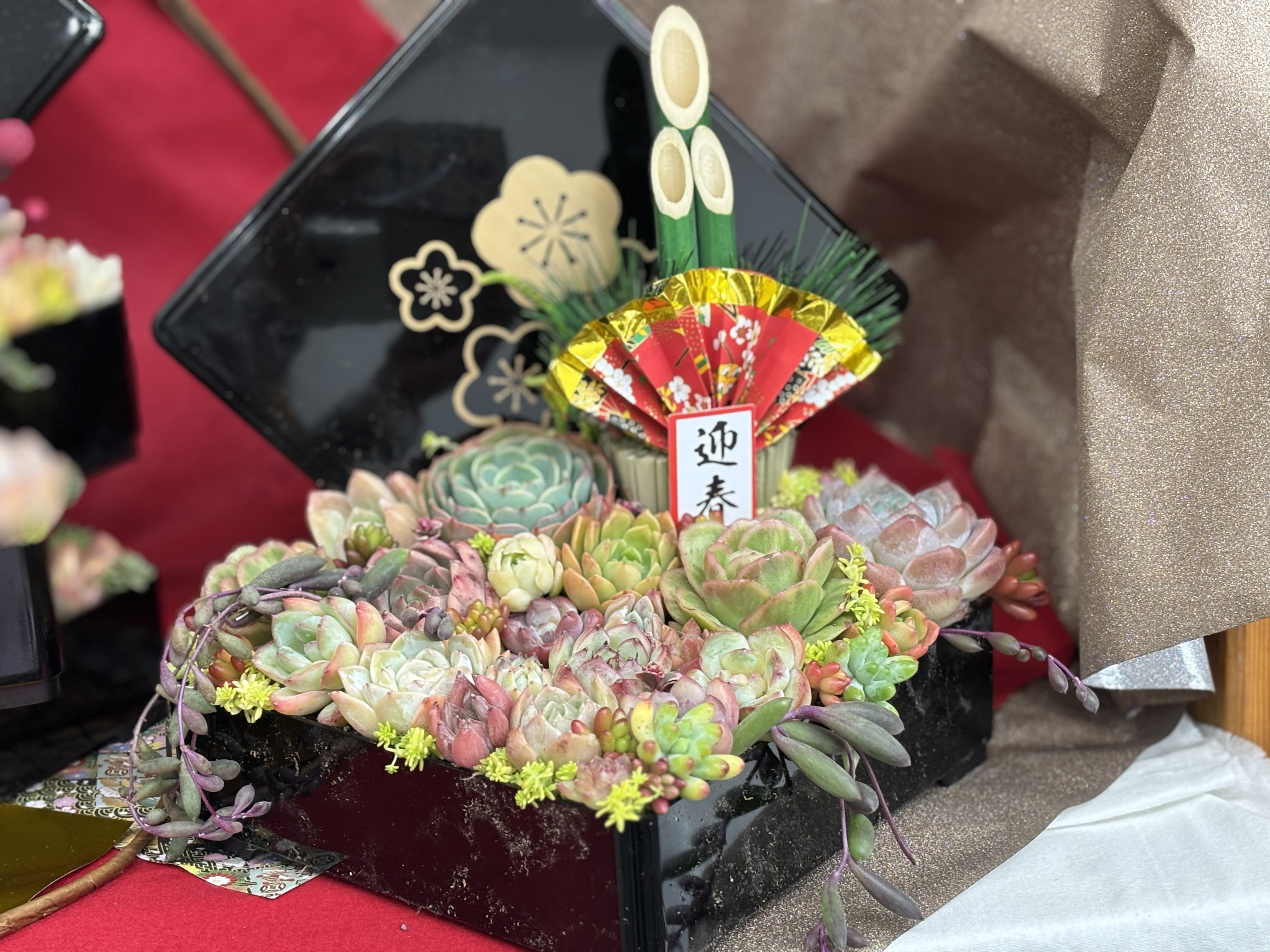 多肉植物　寄せ植え　おせち 7cb93cb5-ea1b-4488-8af6-