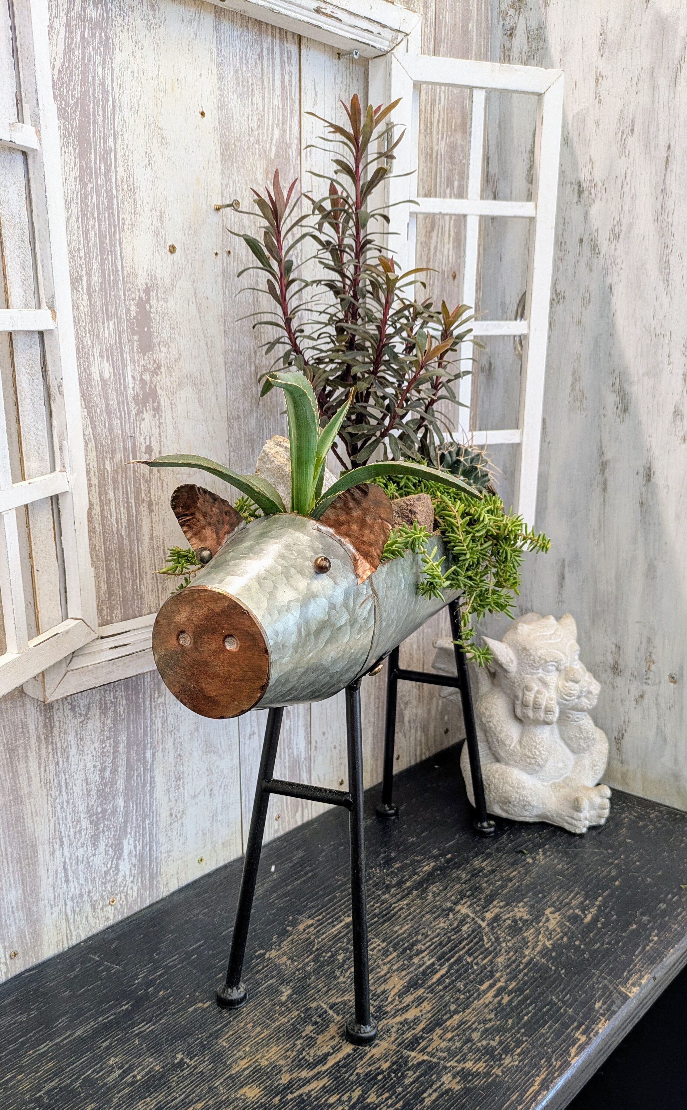 寄植え Planter❣White x Silver for planting in winter☃White Winter