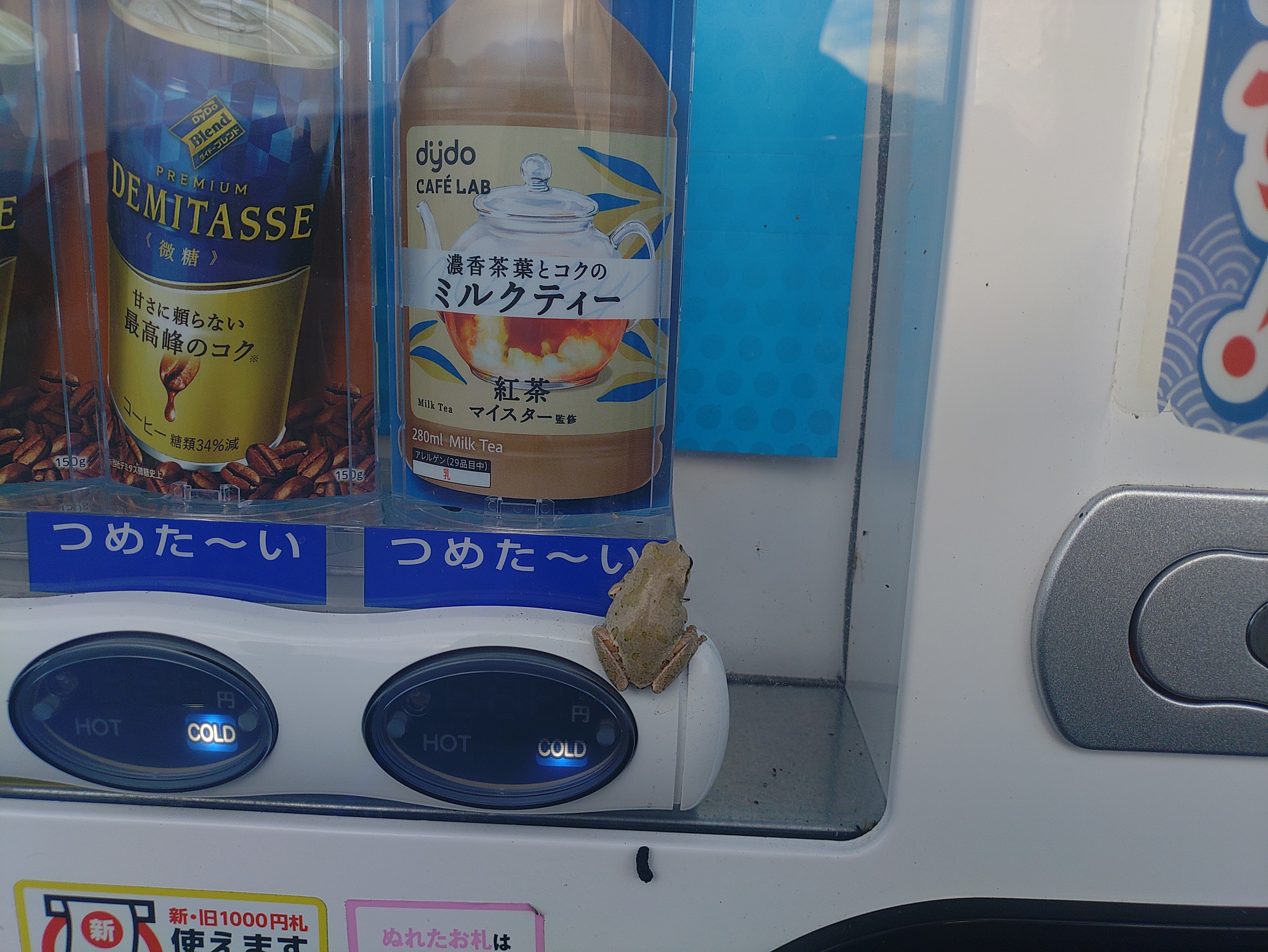 ミルクティー様　お取り置き　5/21まで ミルクティーと同じ色 | TORQUE STYLE