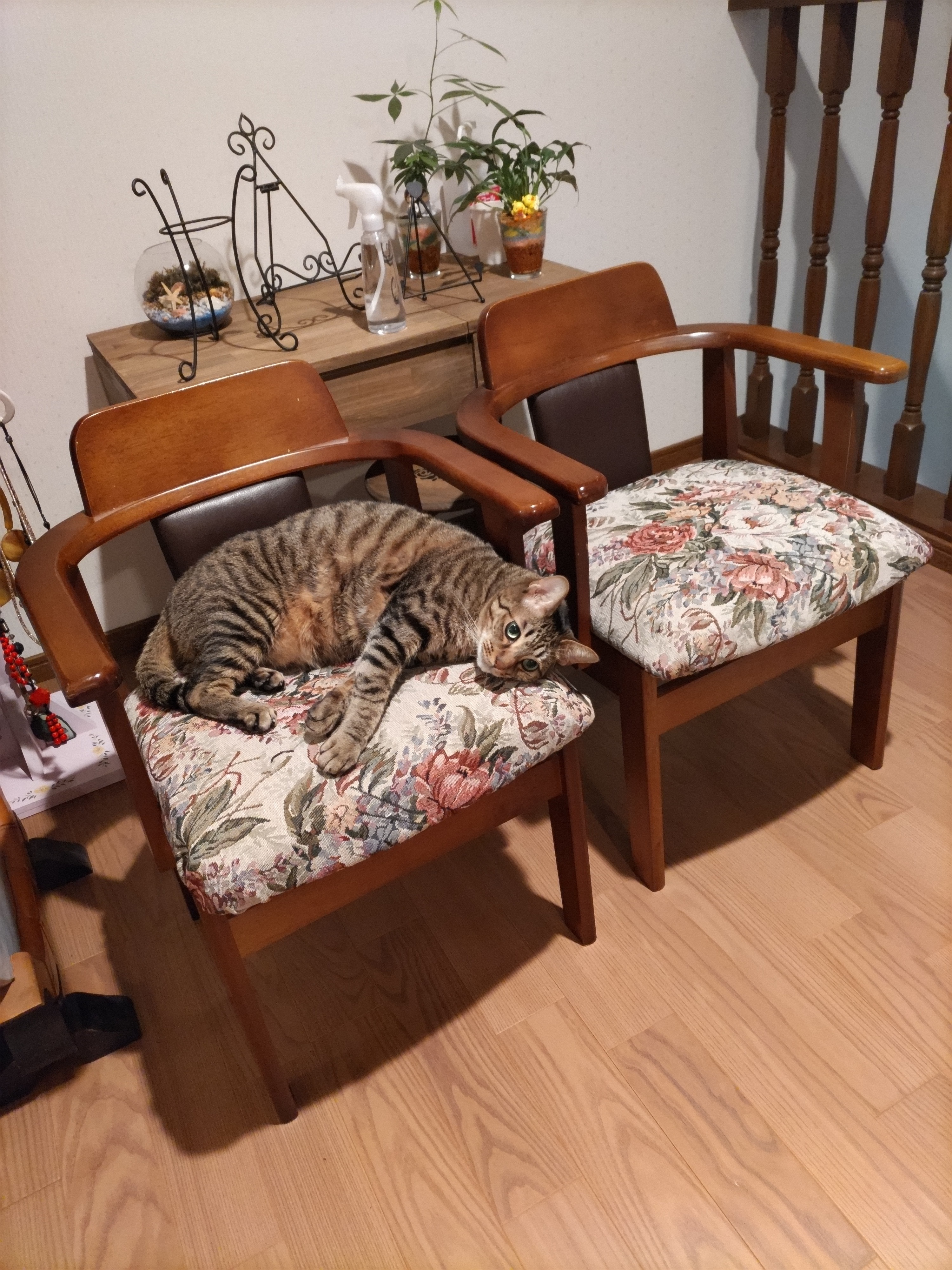 椅子の張り替え・とりあえず座面だけ🪑✨ | CAINZ DIY Square