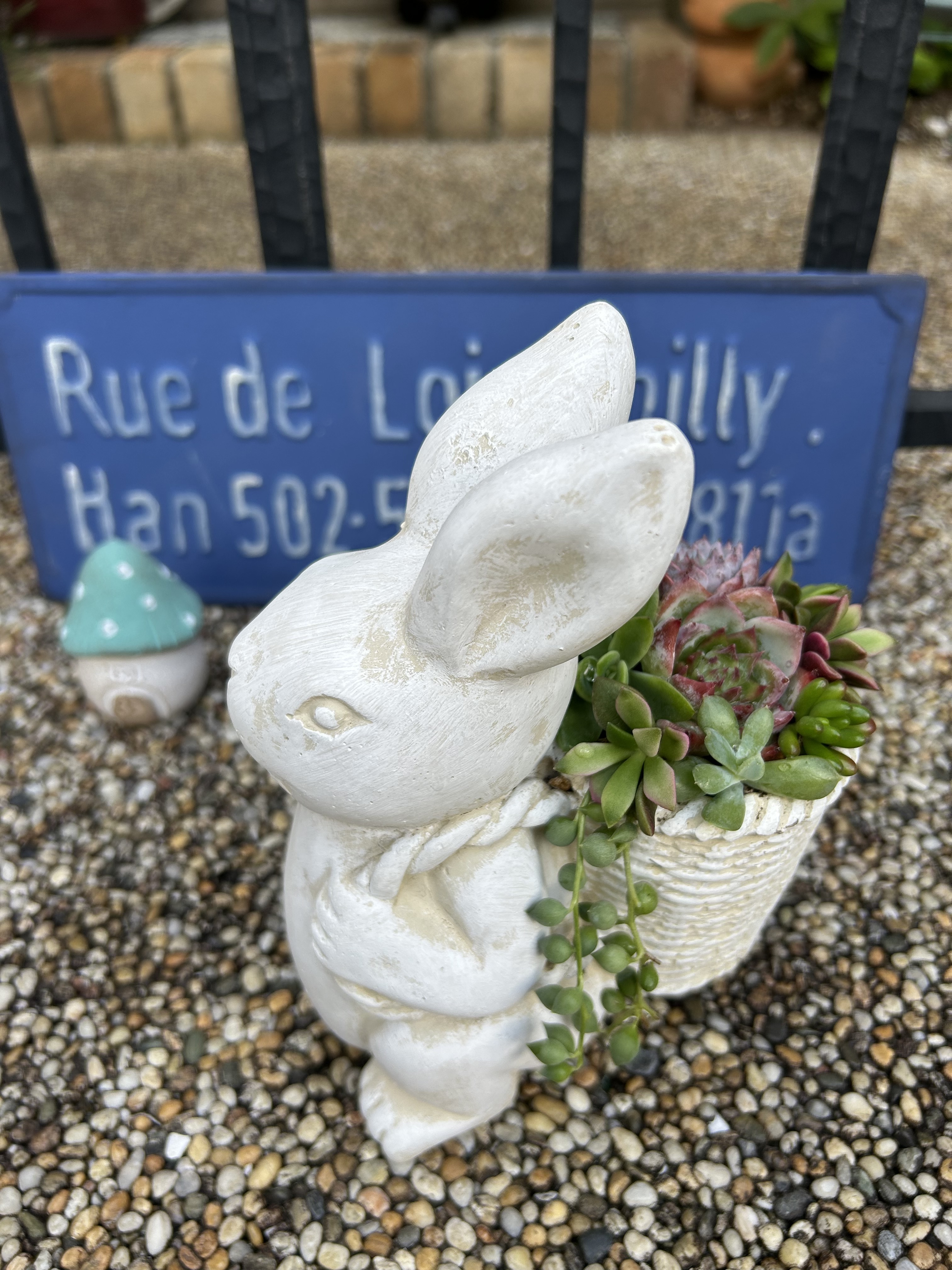 ☆多肉植物 寄せ植え〜手作り木製アニマル木箱 うさぎさん〜☆ 多肉