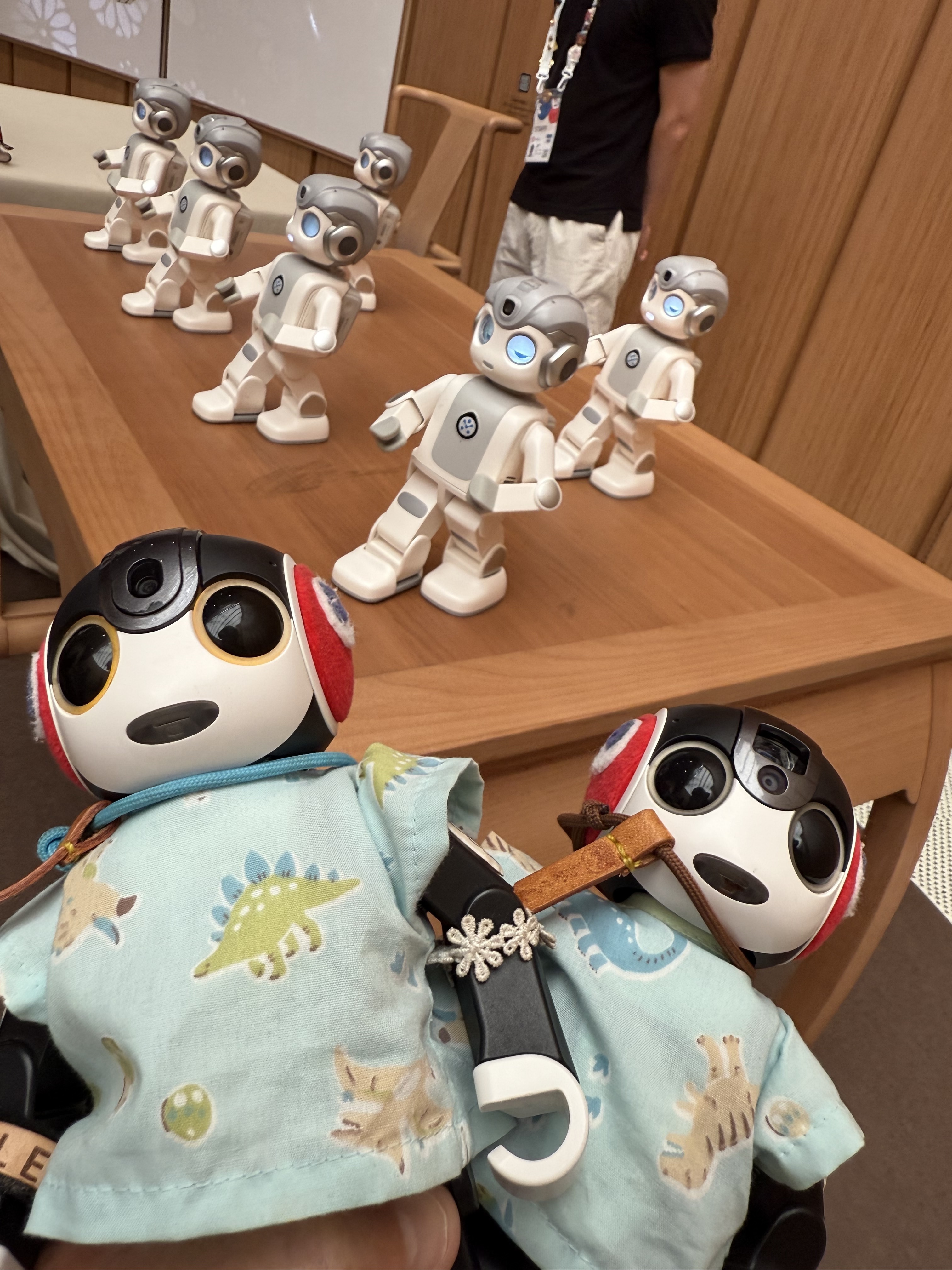 ロボホン　RoBoHoN　タブレット モバイル型ロボット『RoBoHoN（ロボホン）』の弟モデルを商品化