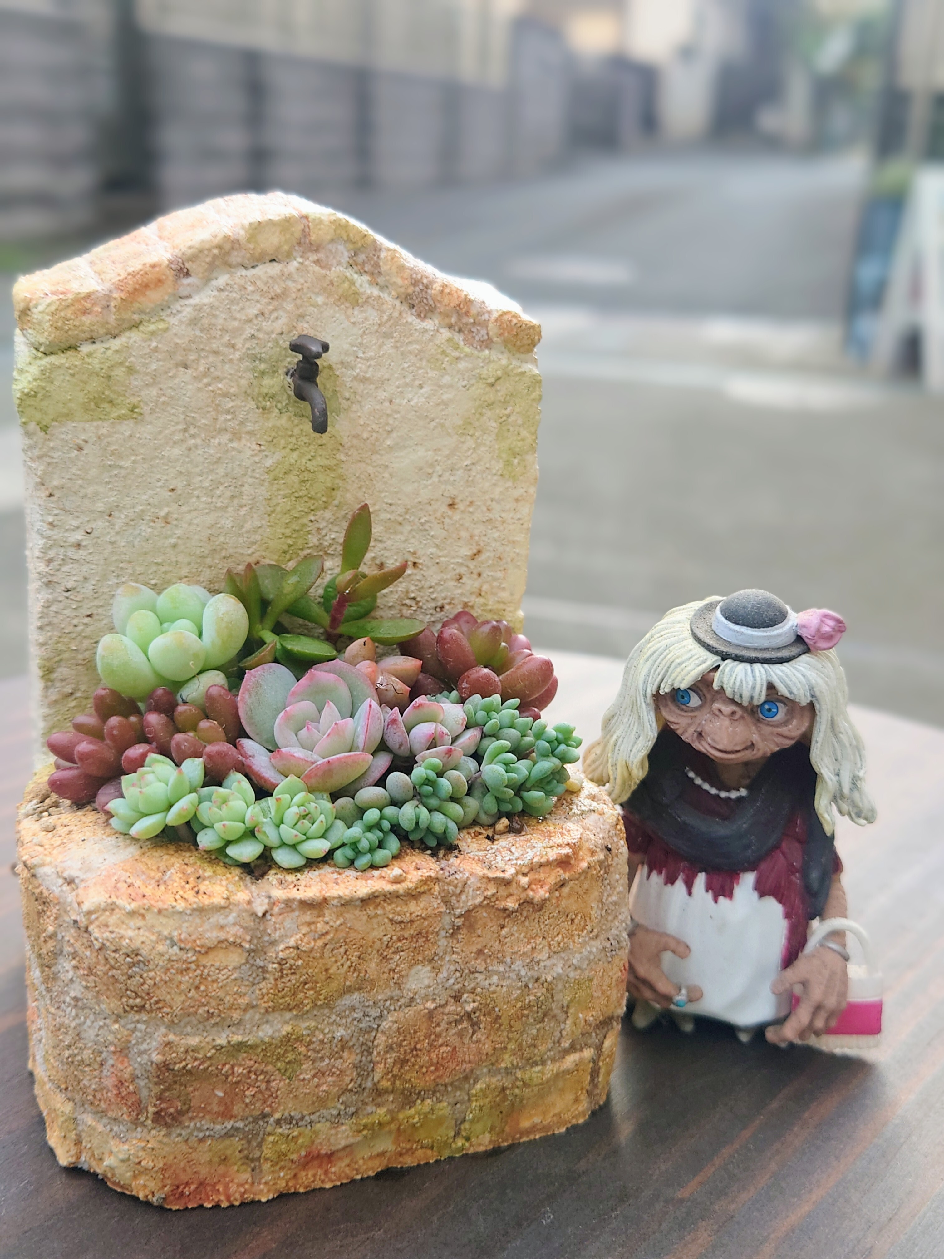 宿根(ᵔᴥᵔ)挿し穂　寄せ植えにも♡ほったらかし♡グランドカバー 宿根(ᵔᴥᵔ)挿し穂 寄せ植えにも♡ほったらかし♡グランドカバー 宿根