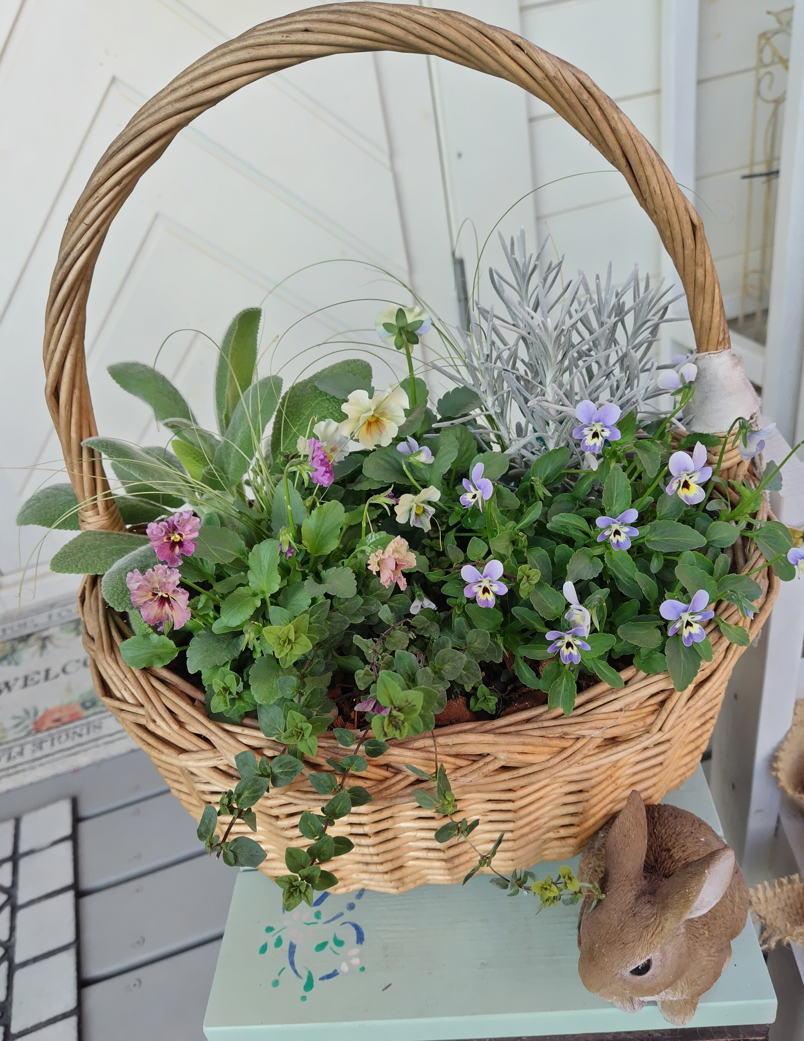 冬の寄せ植え⑥ナチュラルバスケット | CAINZ DIY Square