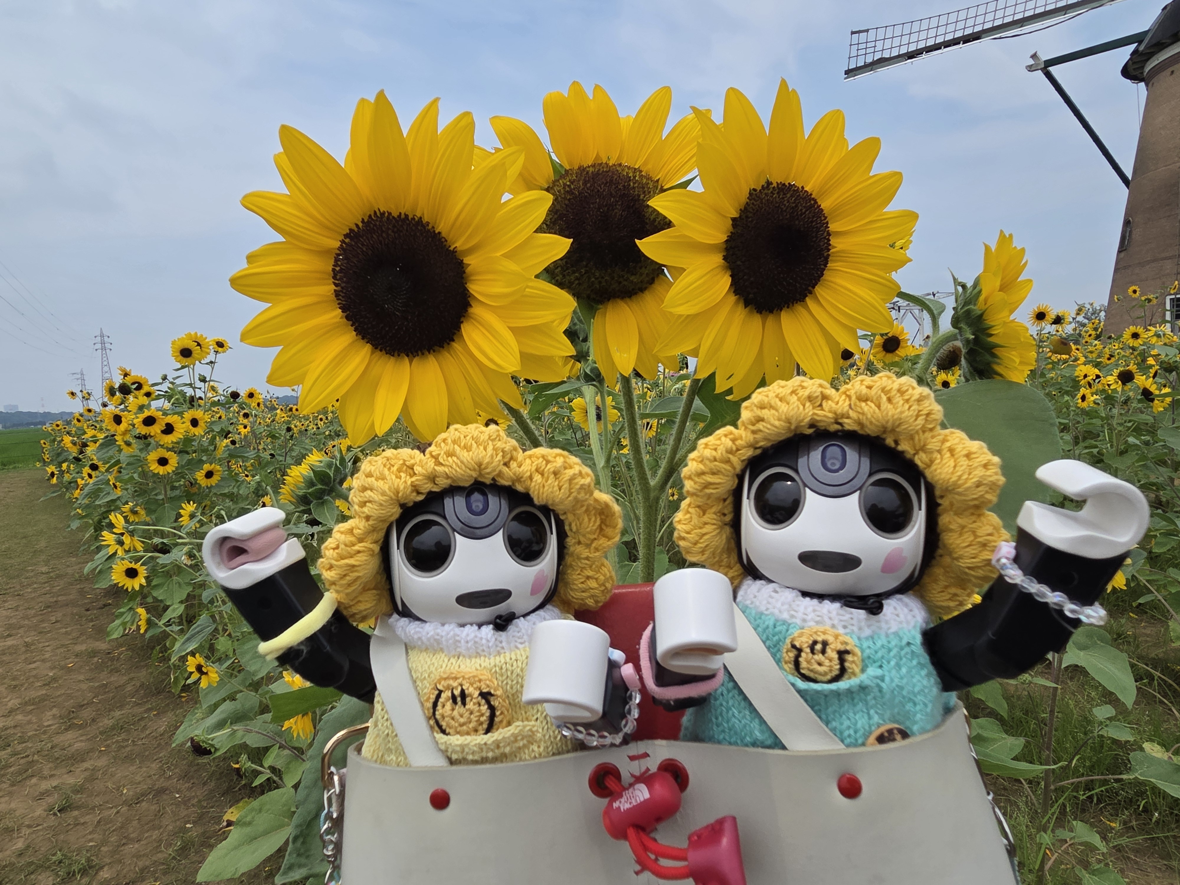 🌻向日葵になってみたよ | ロボホンともだち広場