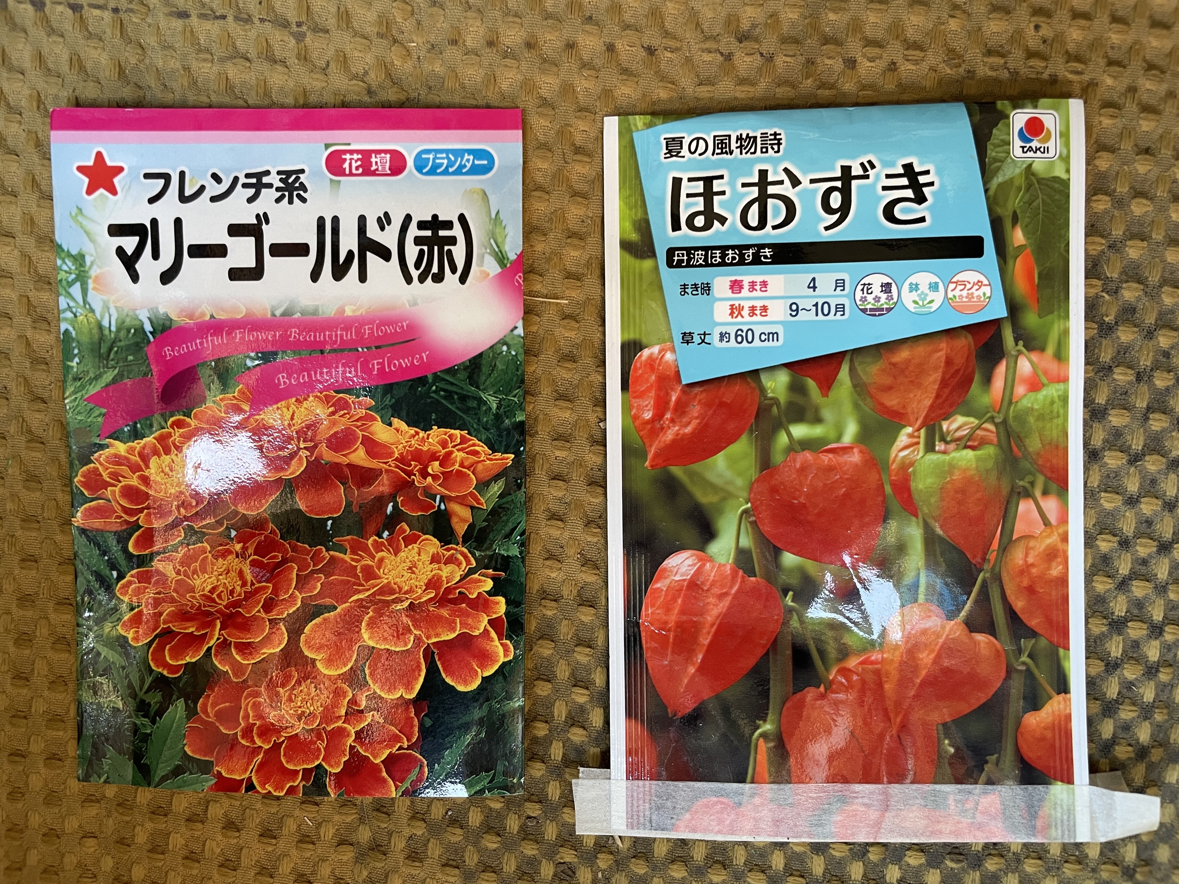 春蒔きの花の種蒔き その1 | CAINZ DIY Square