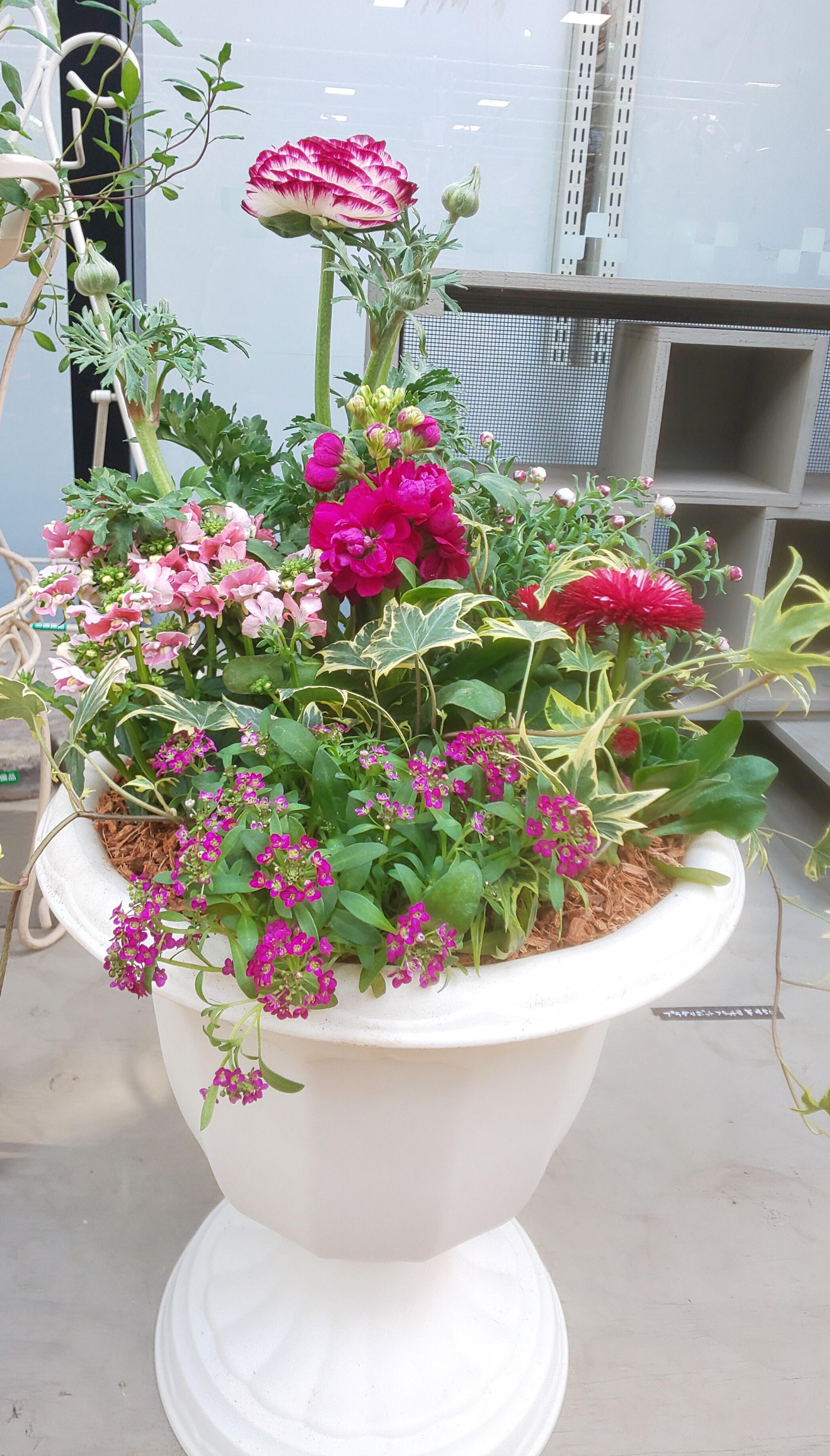 寄せ植えWS | CAINZ DIY Square