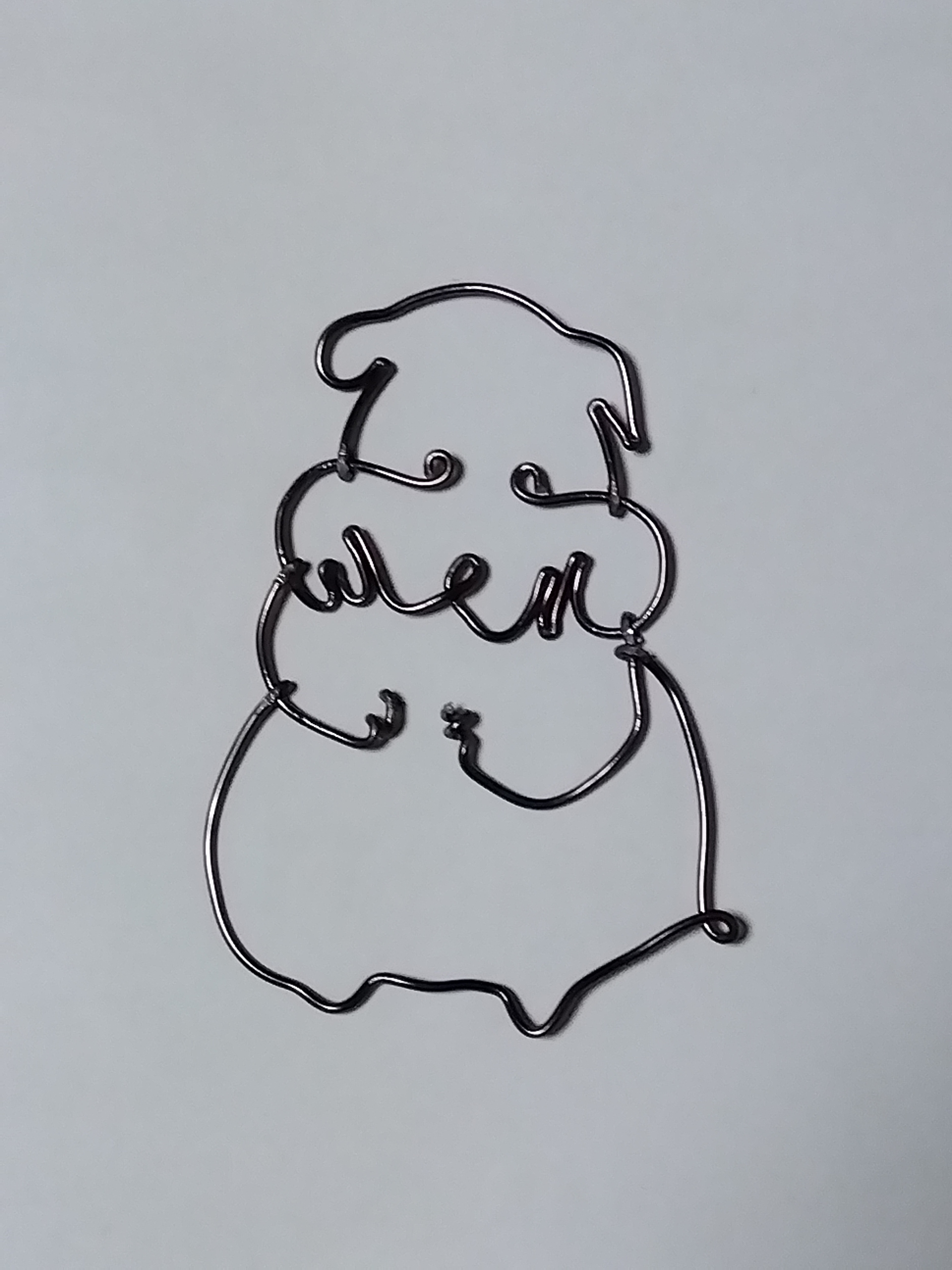 ワイヤーでハムスター？➀ | CAINZ DIY Square