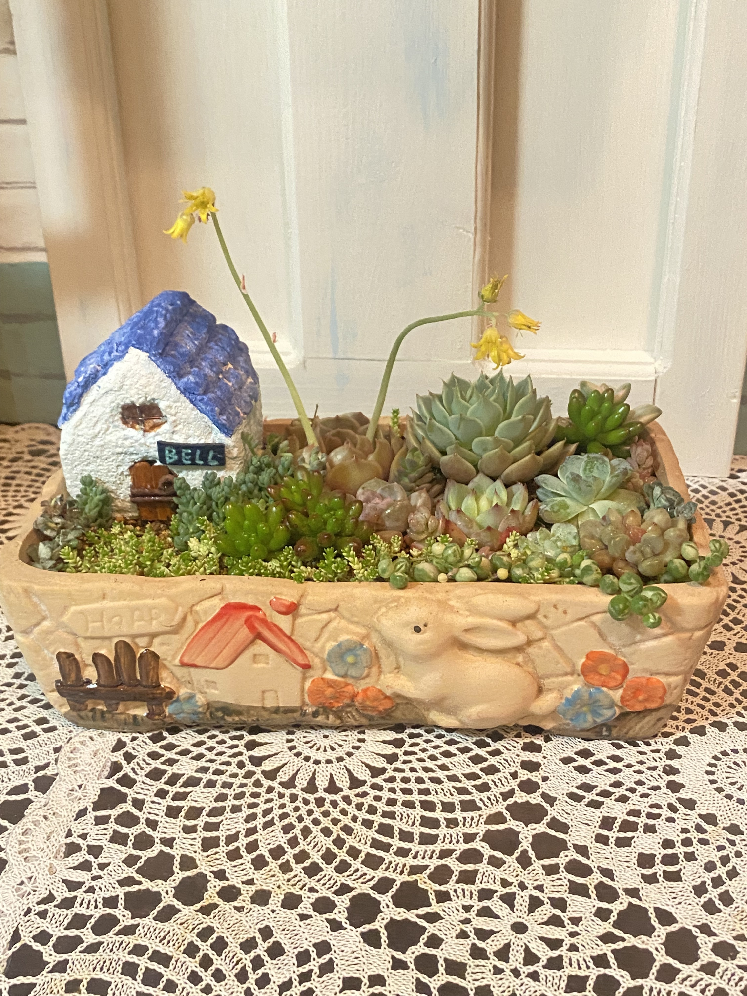 ミニモルタルハウスを入れた多肉の寄せ植え | CAINZ DIY Square