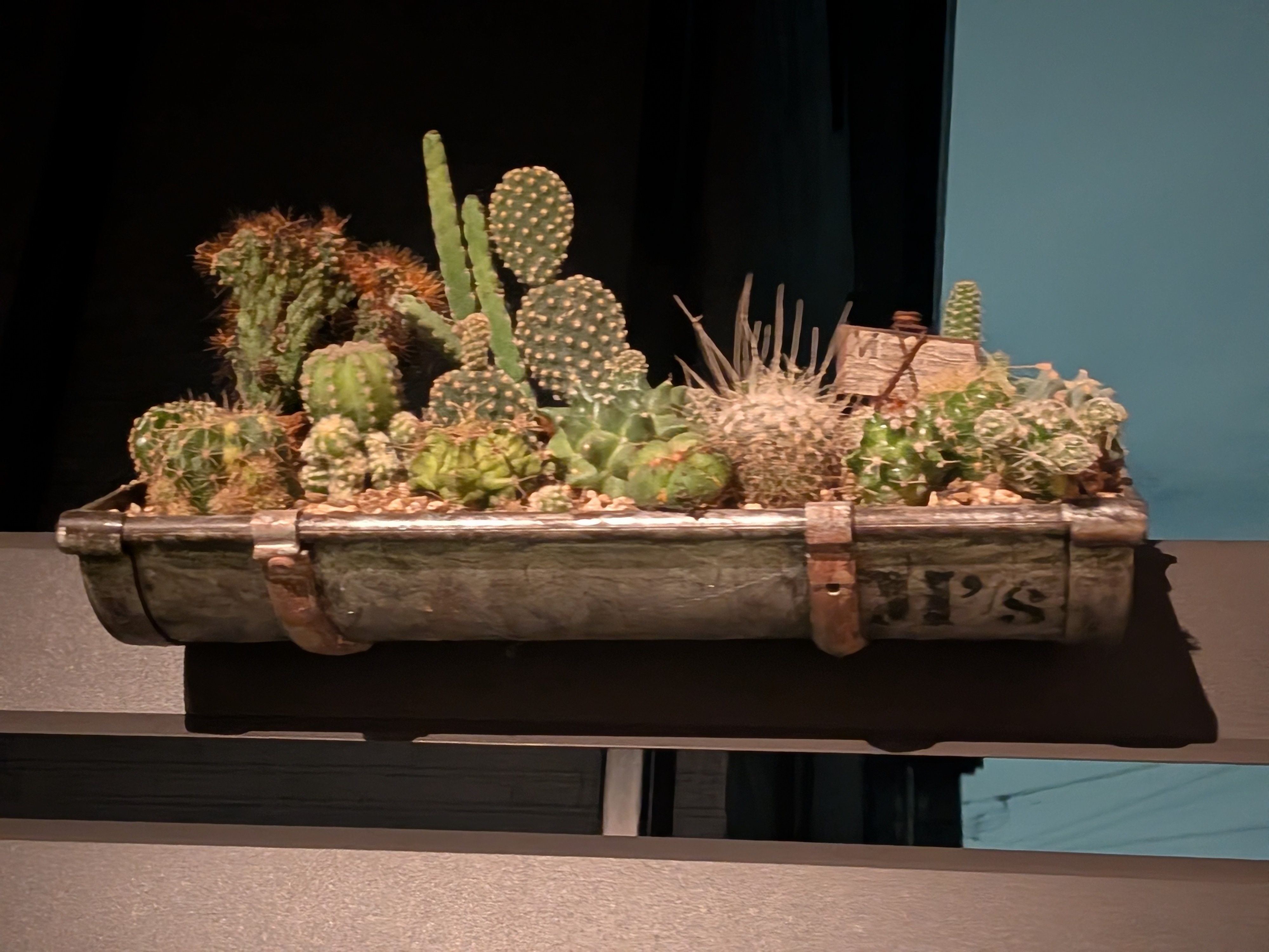 多肉植物寄せ植え♡♡仲良し小鳥さんみんなでお出かけ❤ 多肉植物寄せ