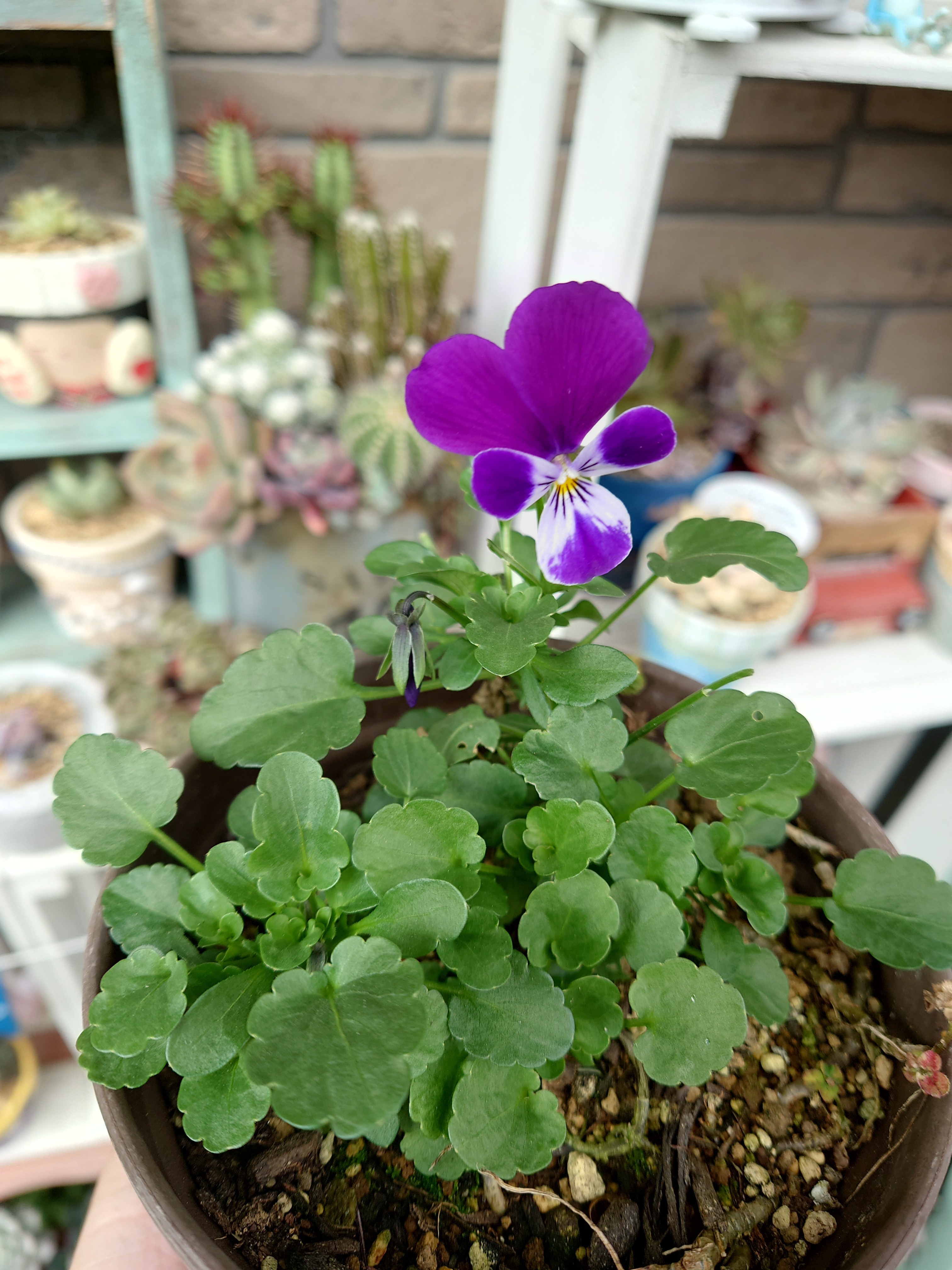 3d8277b2-ea91-462e-b63a-