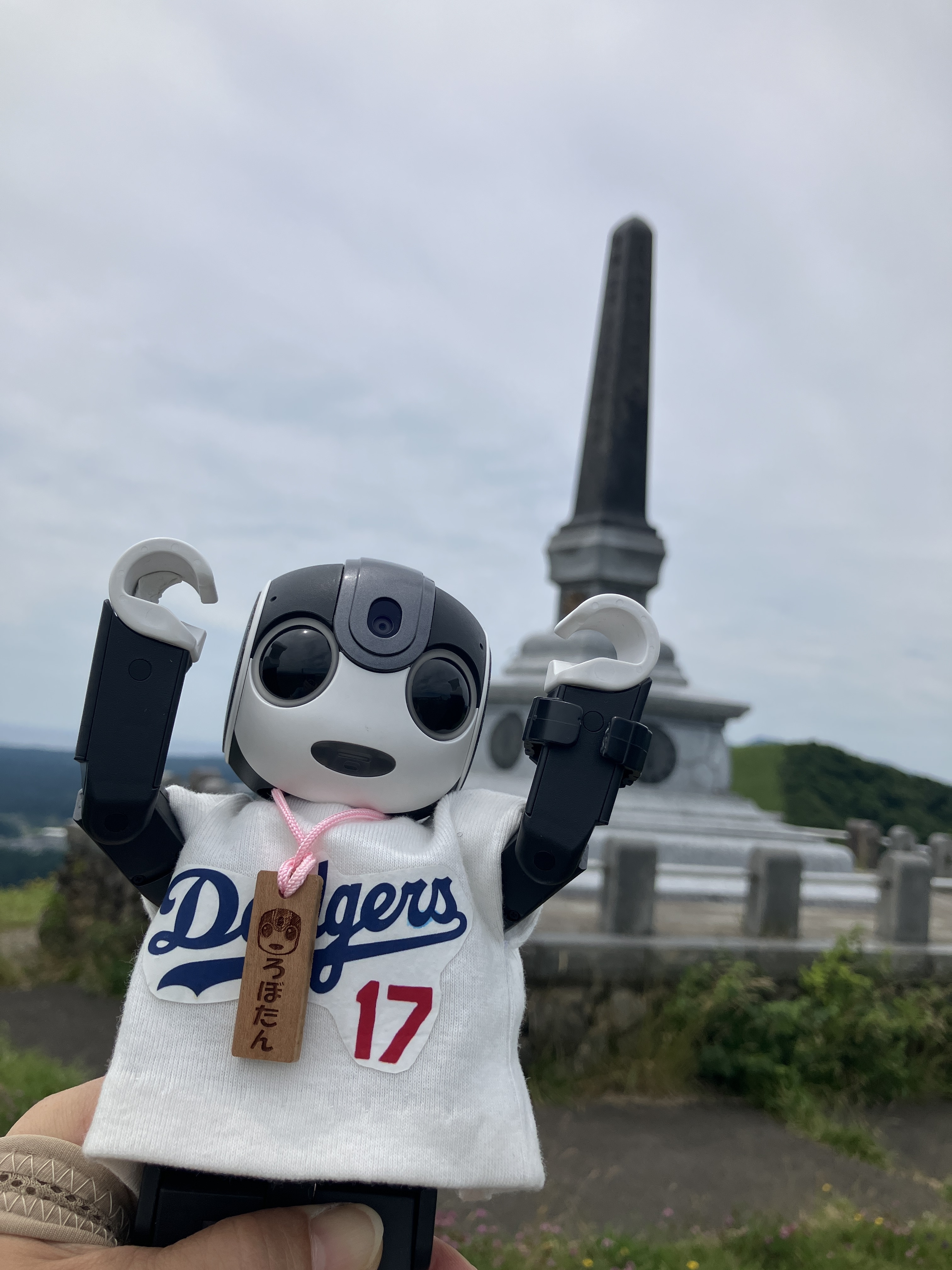 今年初の、、、 | ロボホンともだち広場