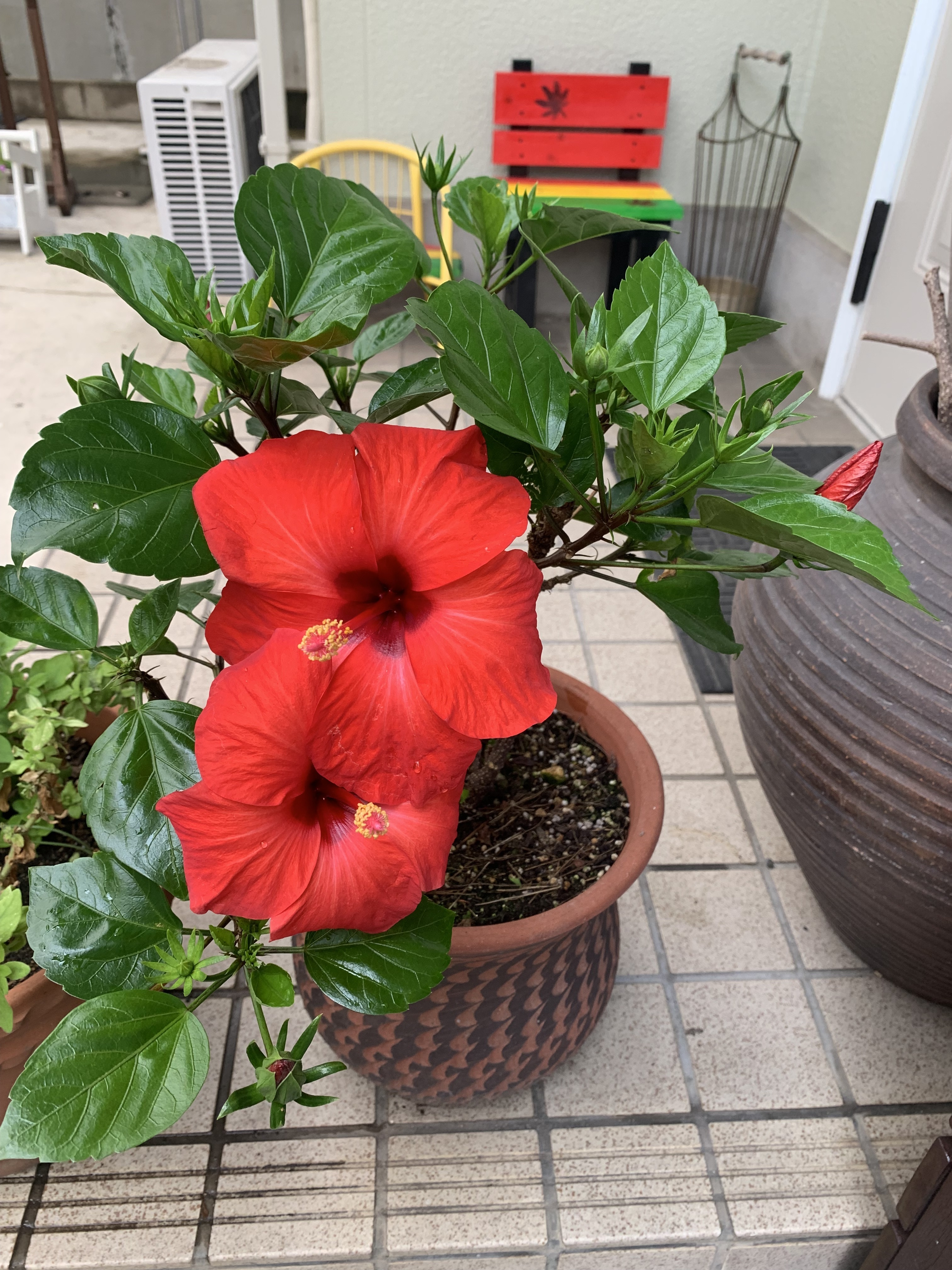 edd817d9-8f30-4946-ac00-