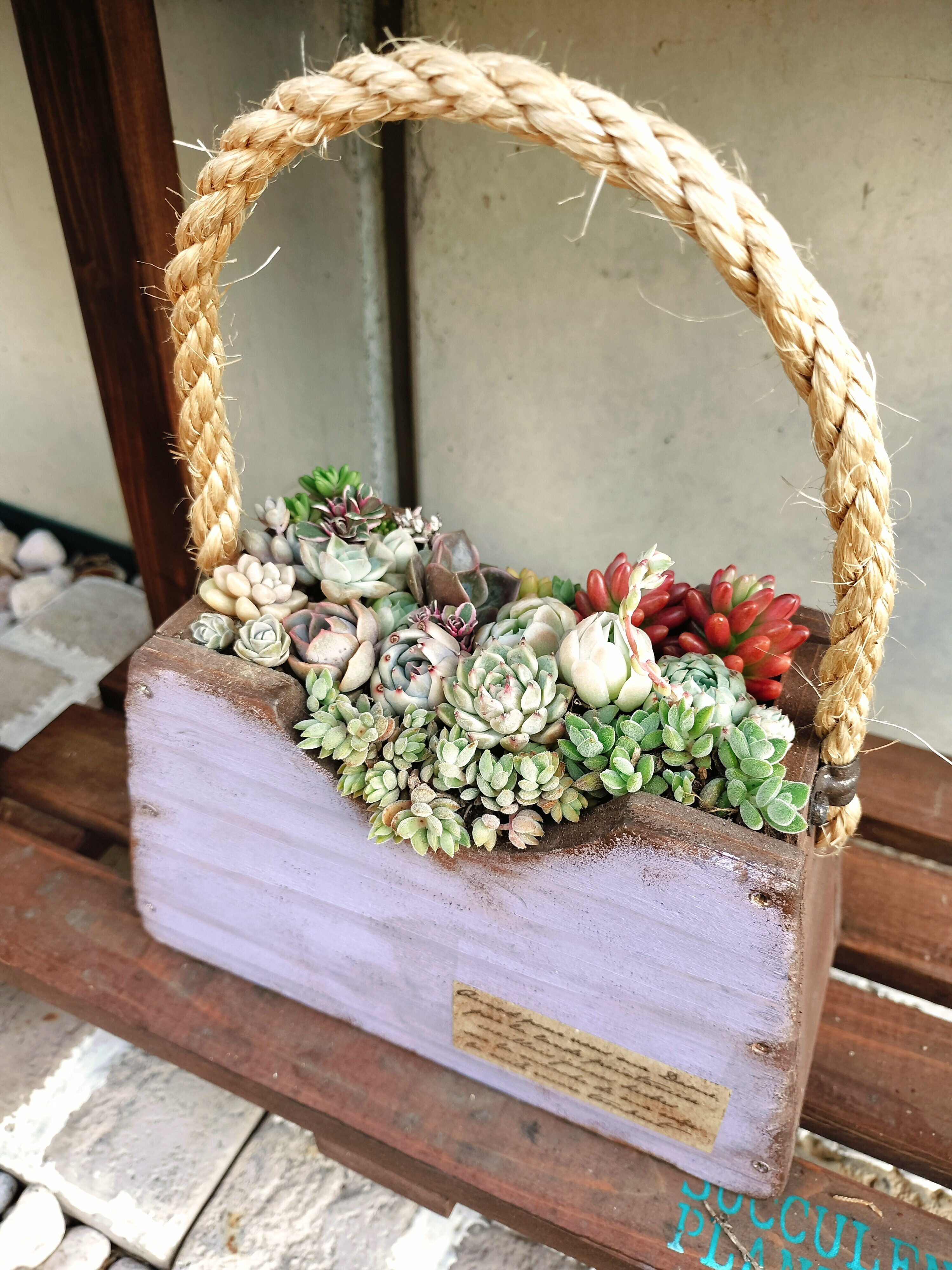 バック型ミニフラワーボックス寄せ植え | CAINZ DIY Square