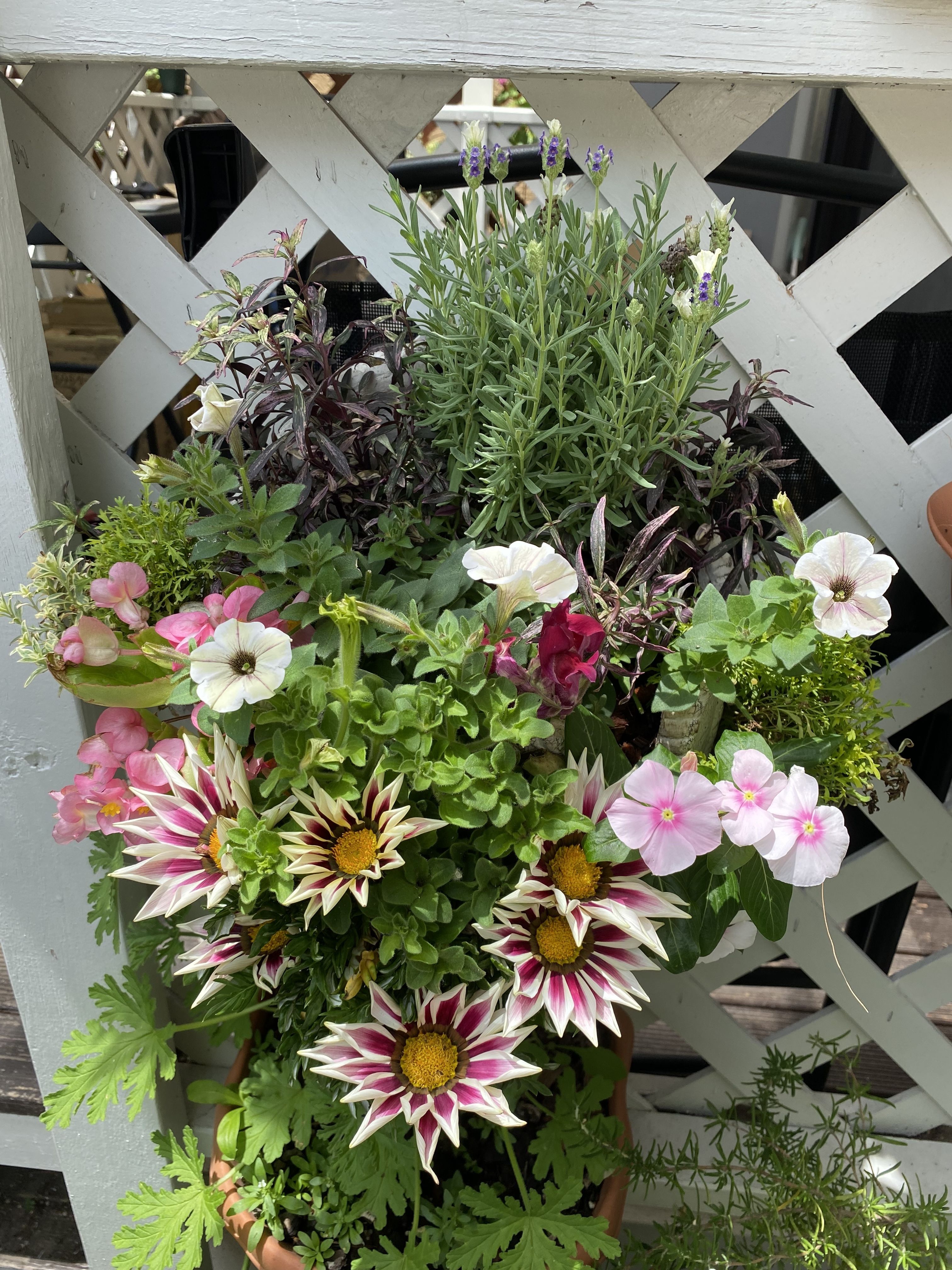 スリット鉢に寄せ植え | CAINZ DIY Square