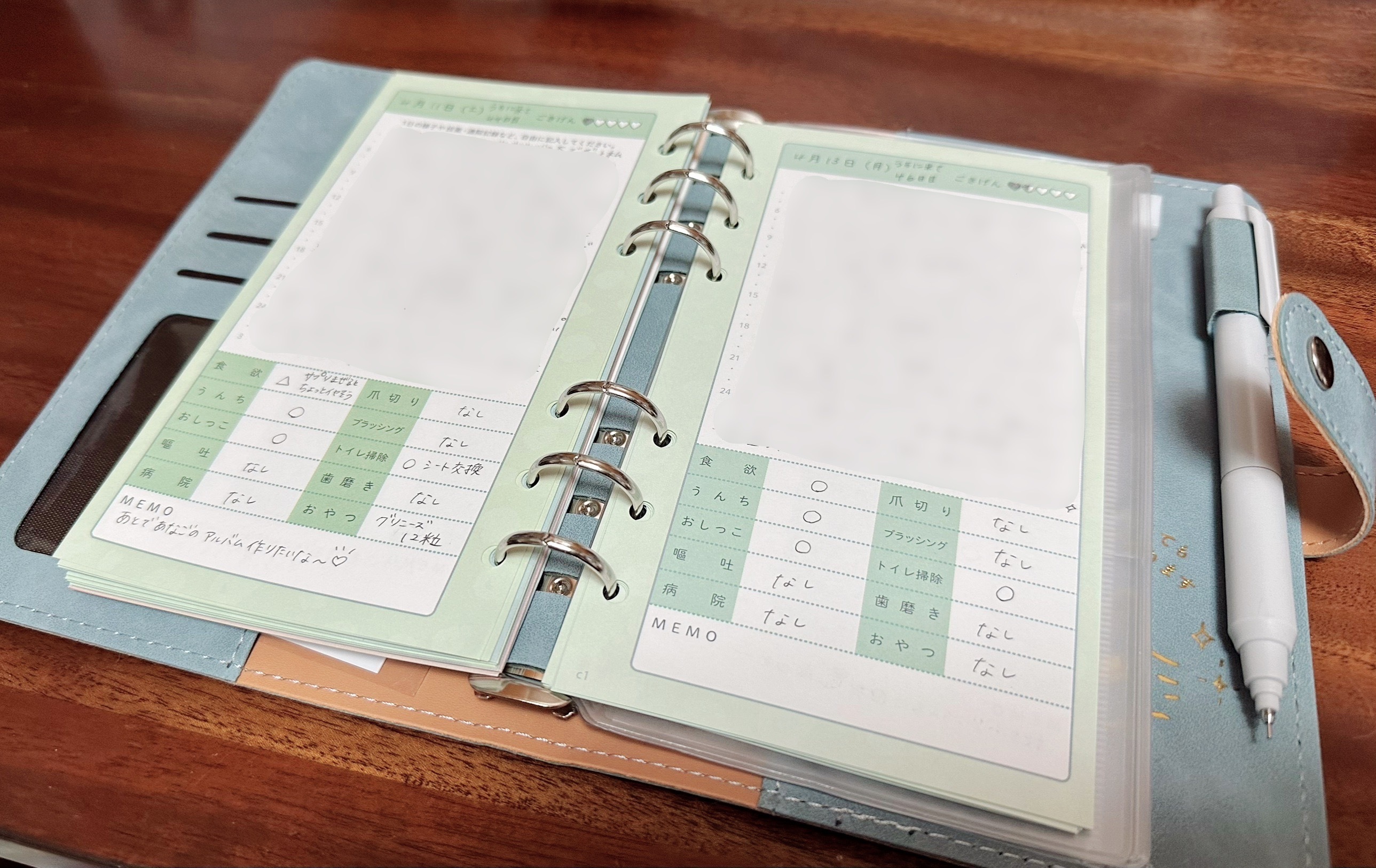 猫日記をつける📖🐱