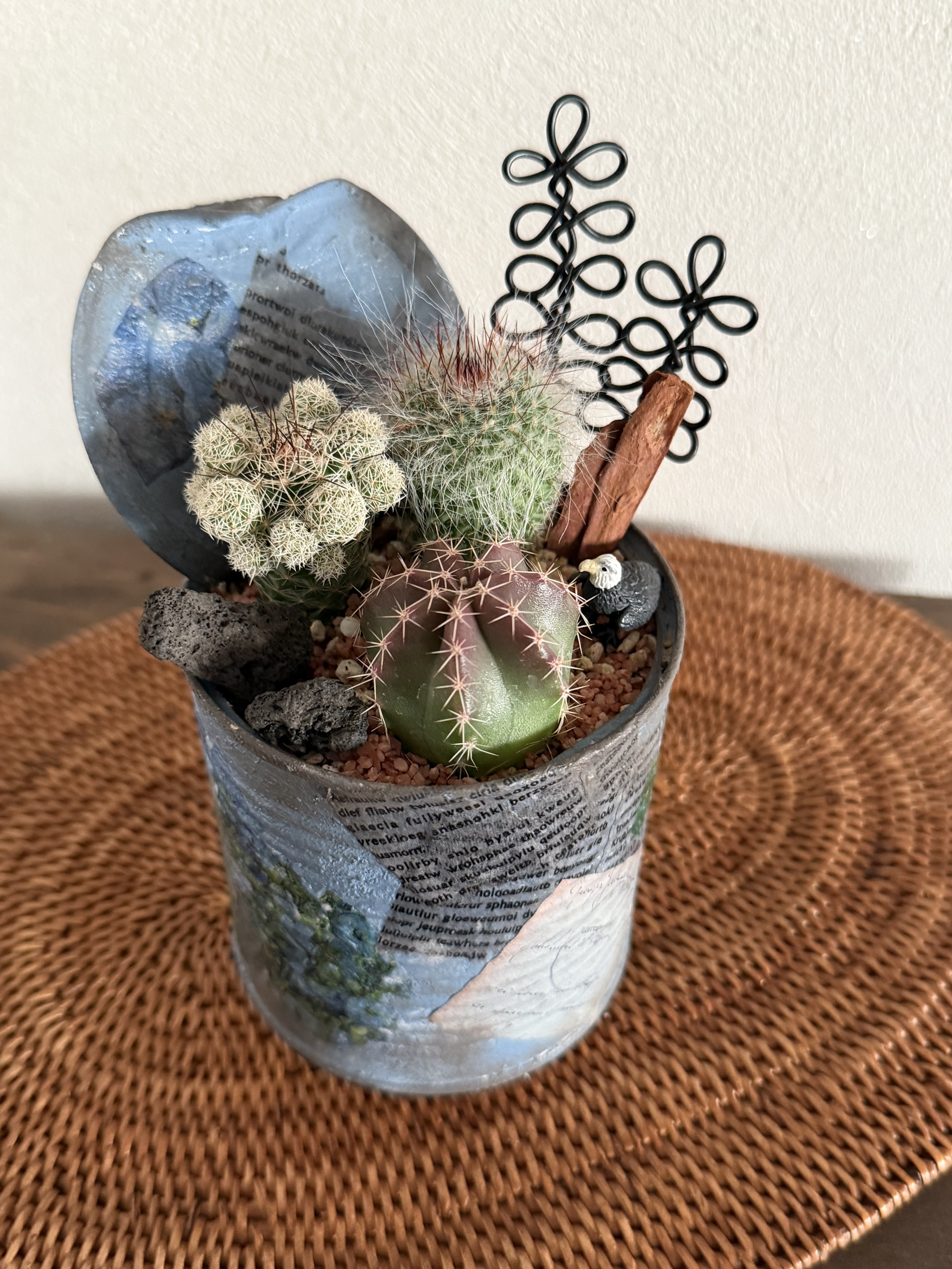 リメ缶作りとサボテンの寄せ植え | CAINZ DIY Square