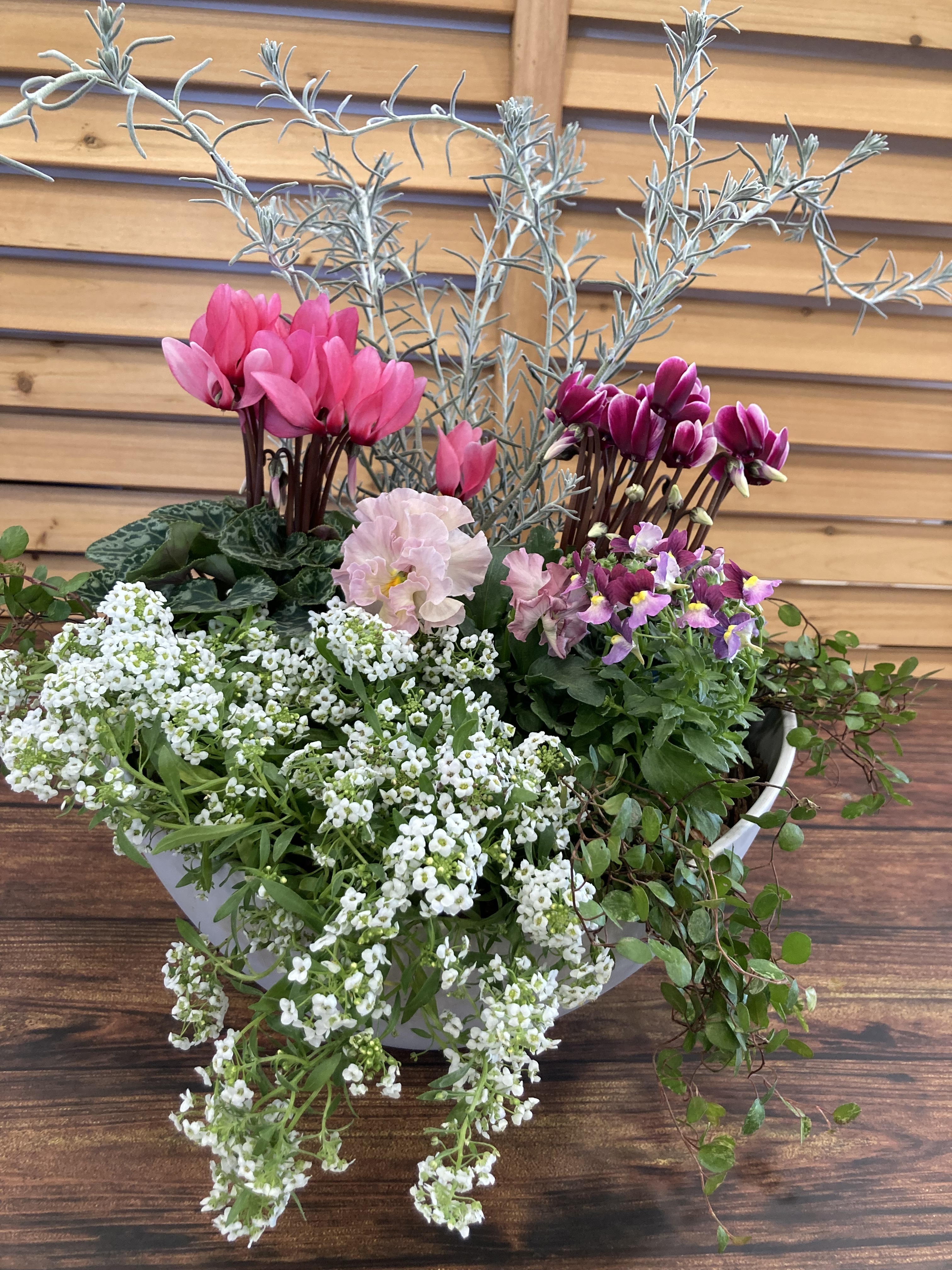 GWS 寄せ植えしてきました | CAINZ DIY Square