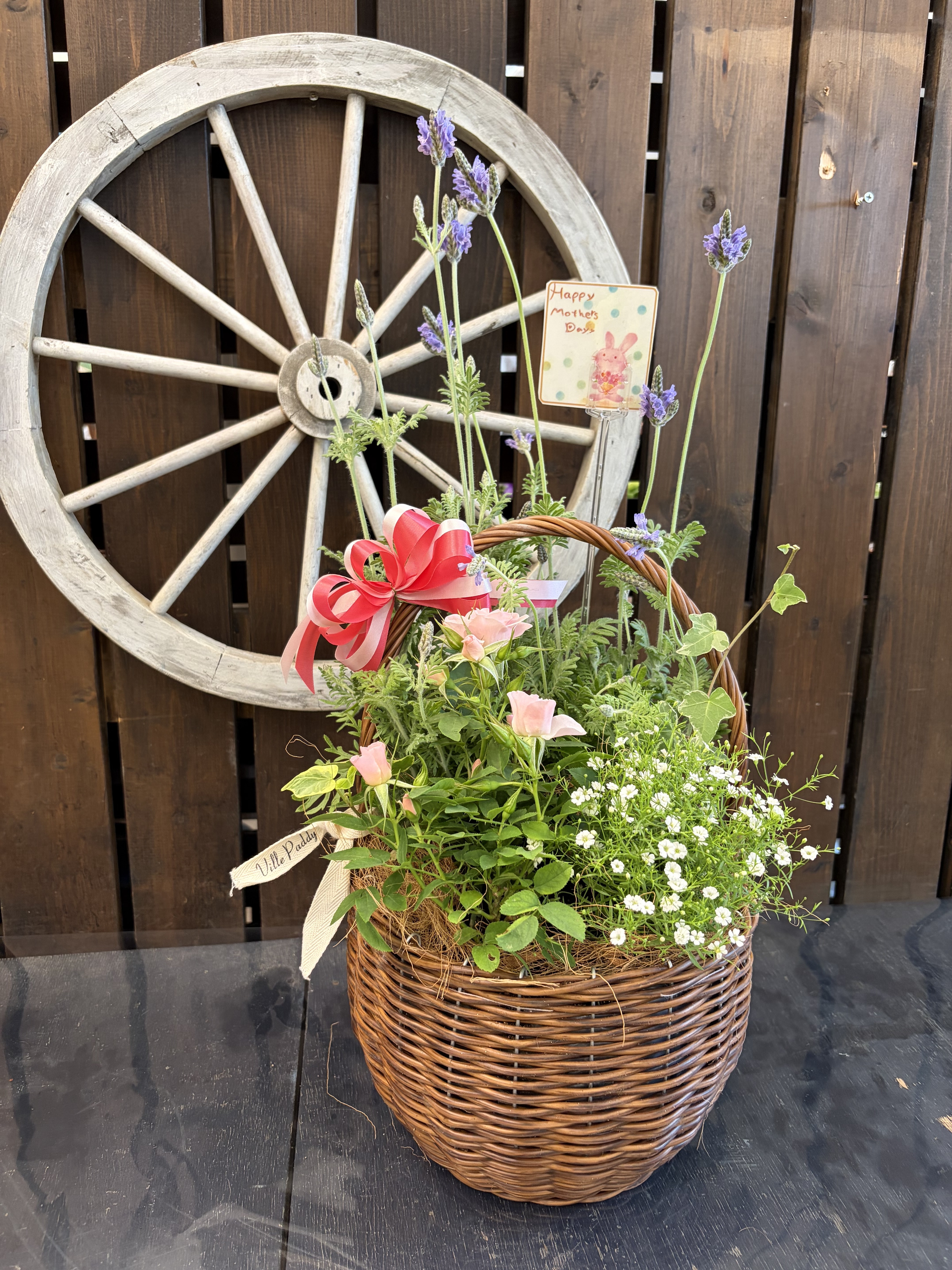 母の日スペシャル寄せ植え🌷 | CAINZ DIY Square