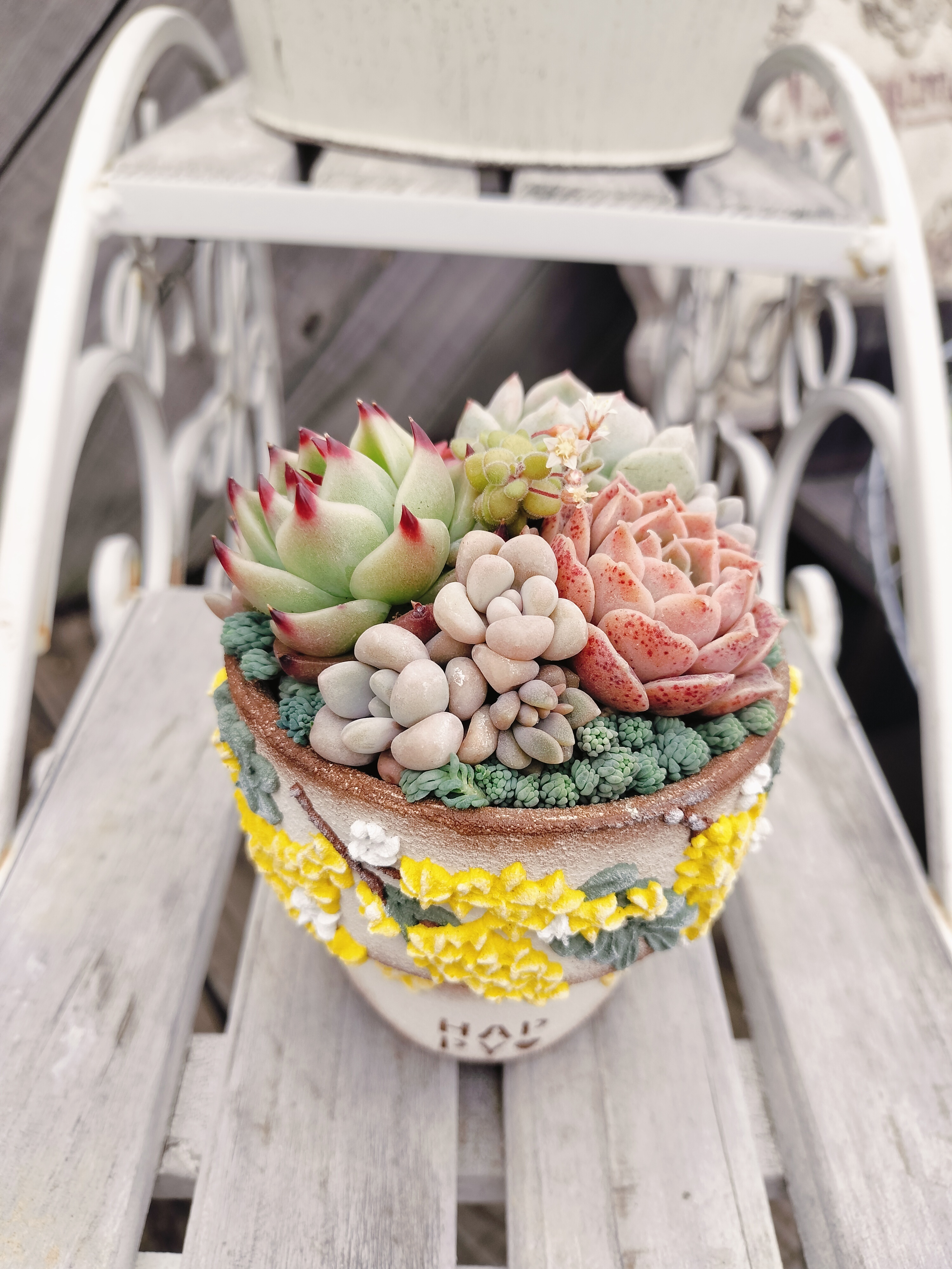 多肉の寄せ植え | CAINZ DIY Square