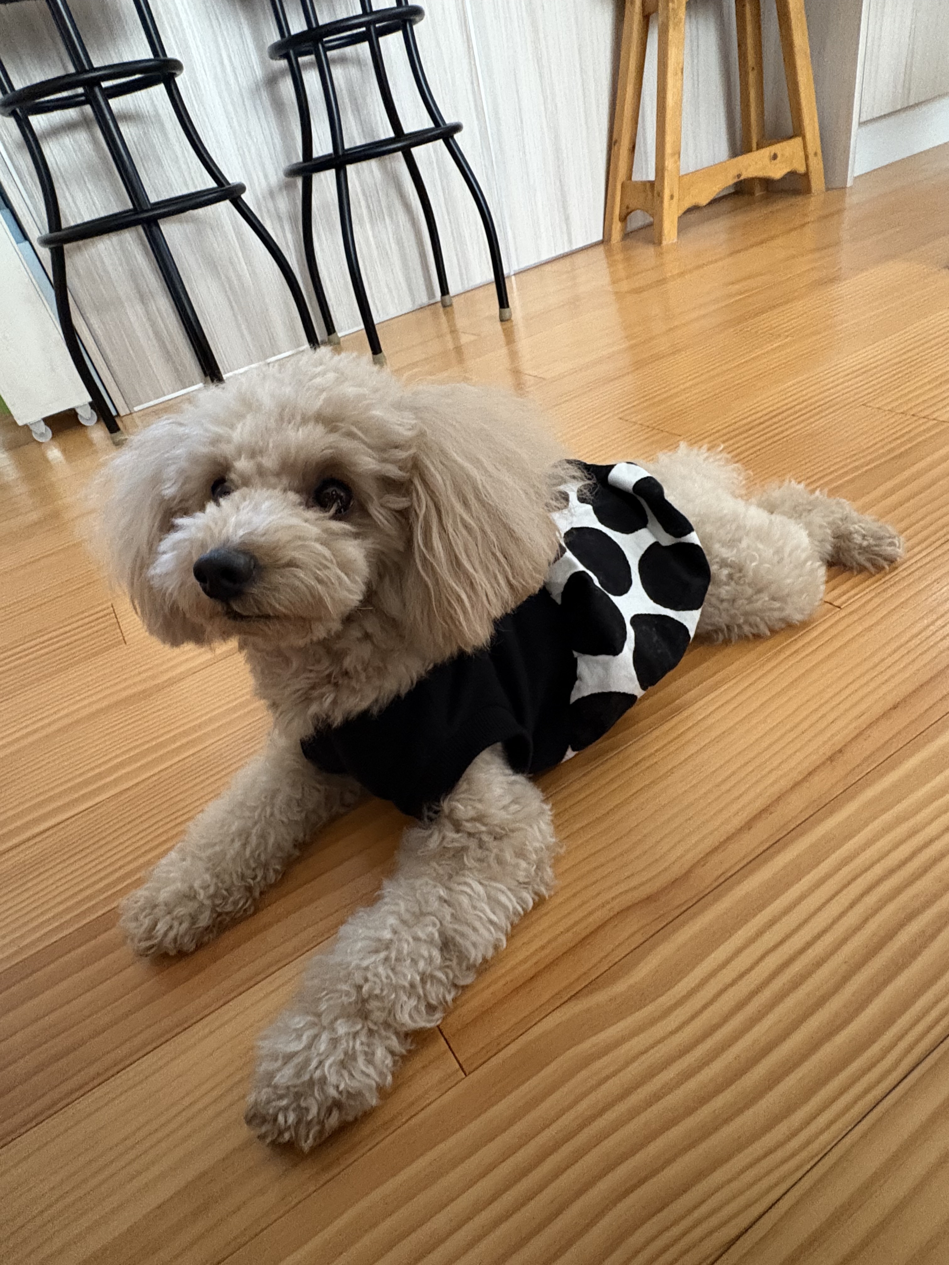 ぴったりサイズの部屋着