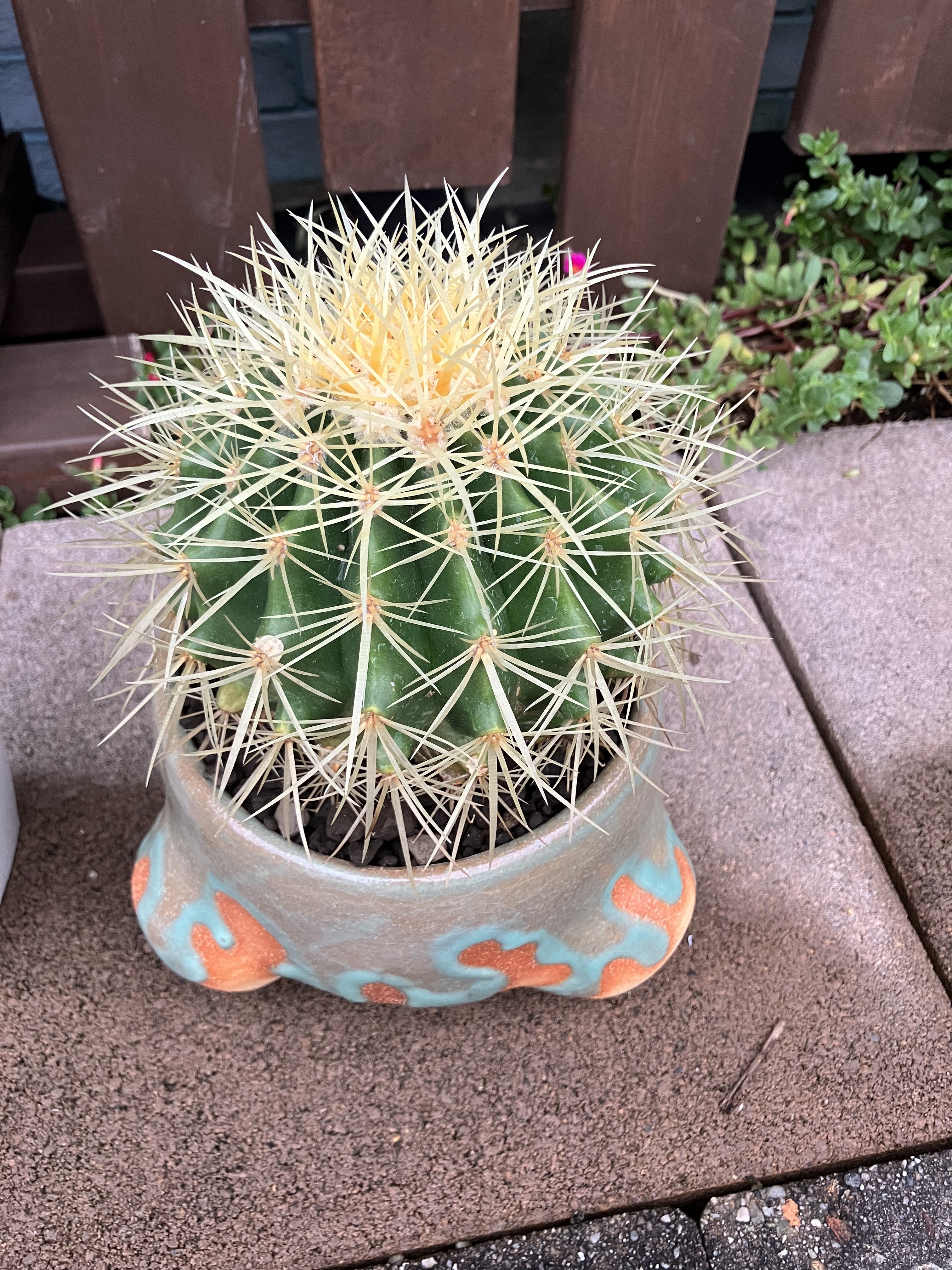 af9a0339-1b97-458d-b4f6-