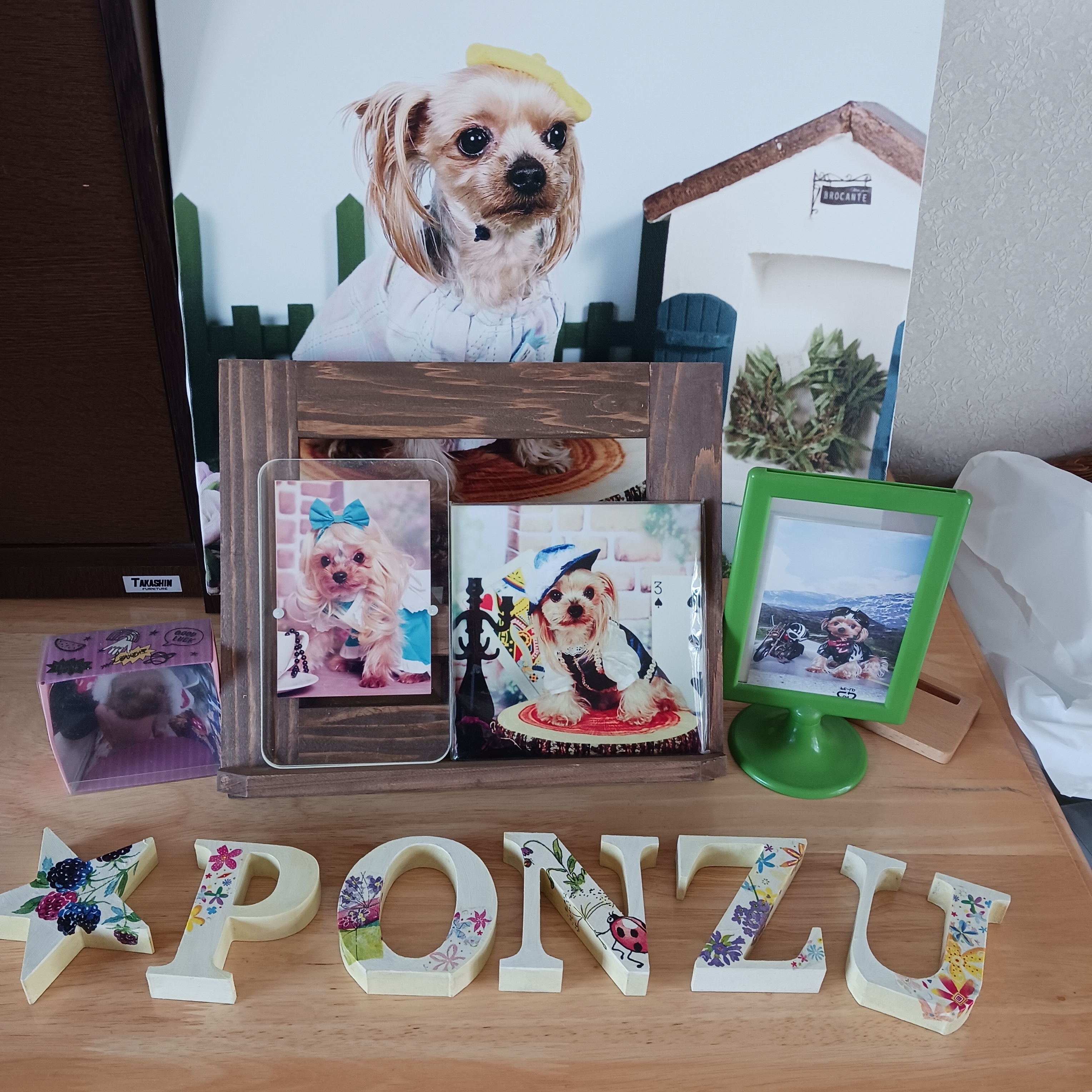 先代ワンコのコーナー