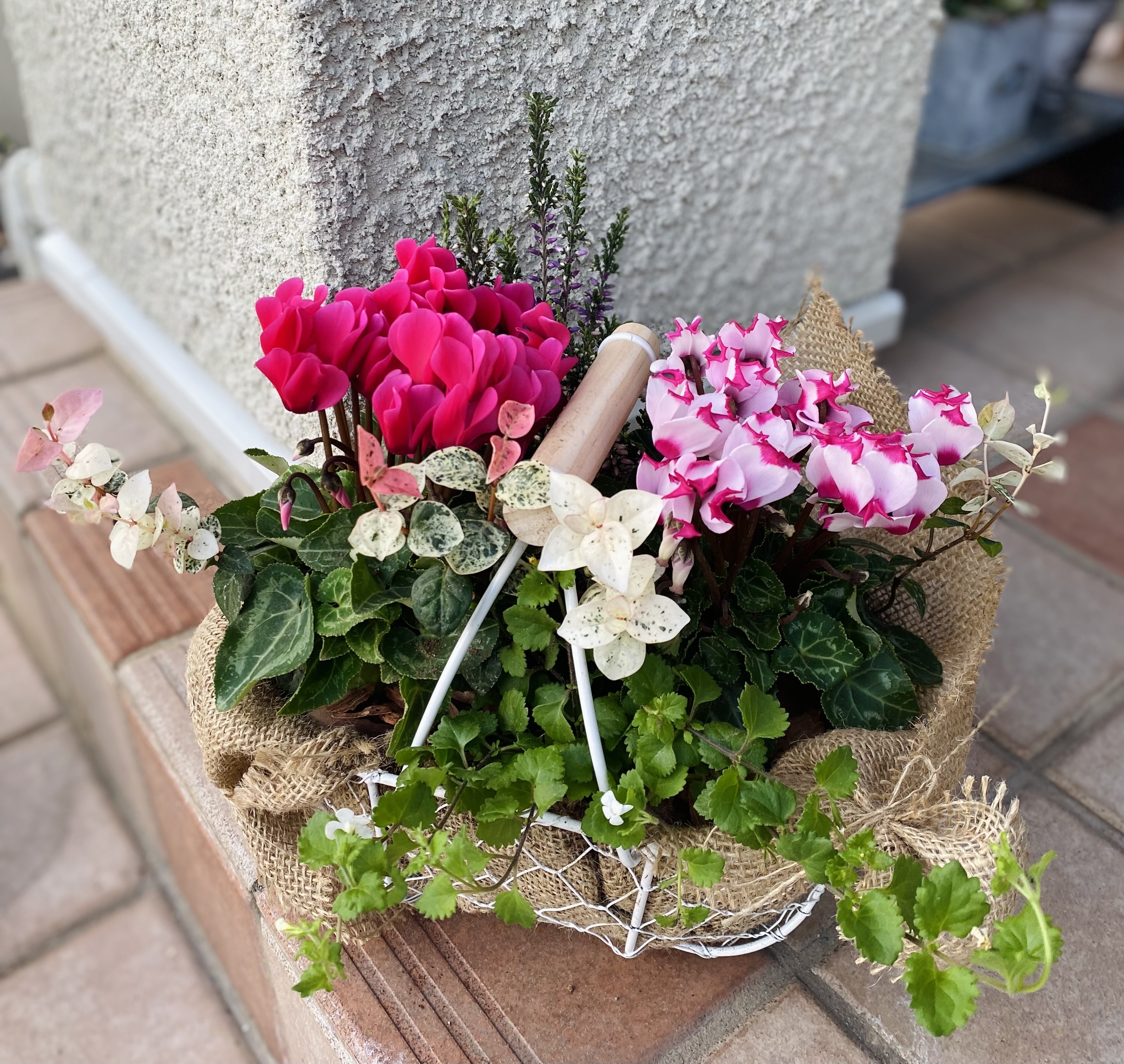 e4f1e4c5-af71-4dcb-8ca3-