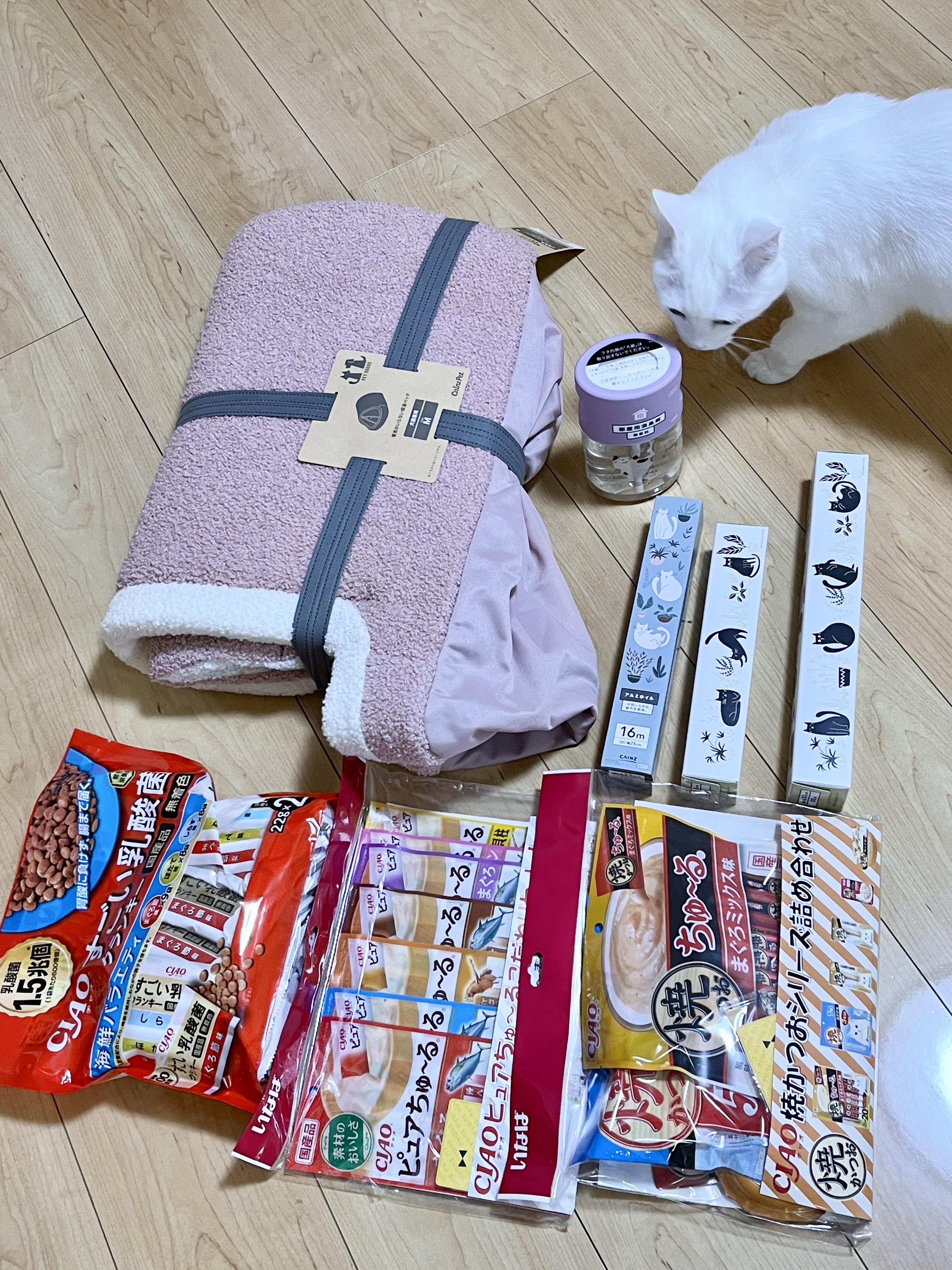 にゃん祭り楽しい！