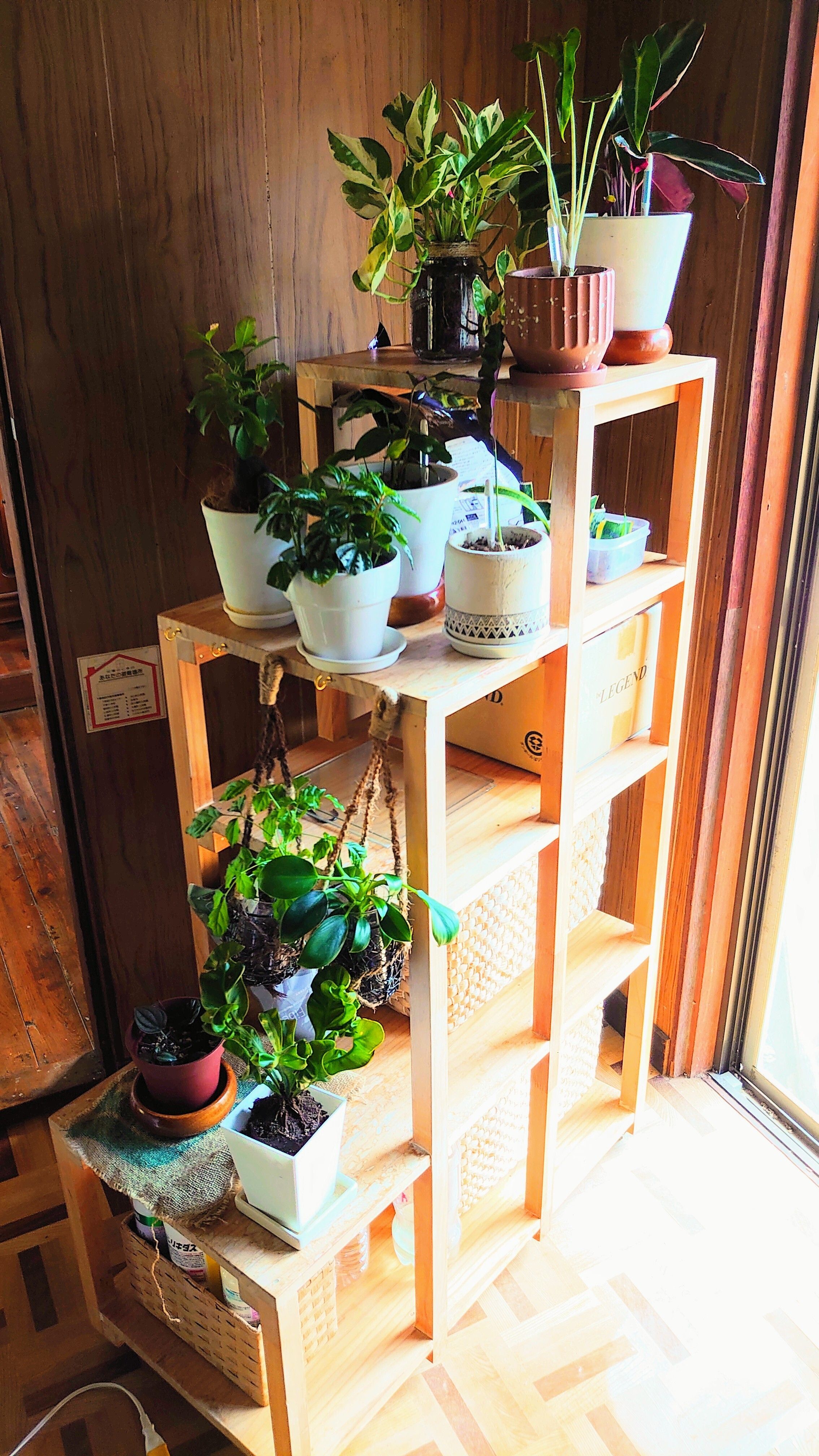 DIY 植物棚 自作の植物棚周りをアップデート🛠️ 個人的には#植物育成ライト