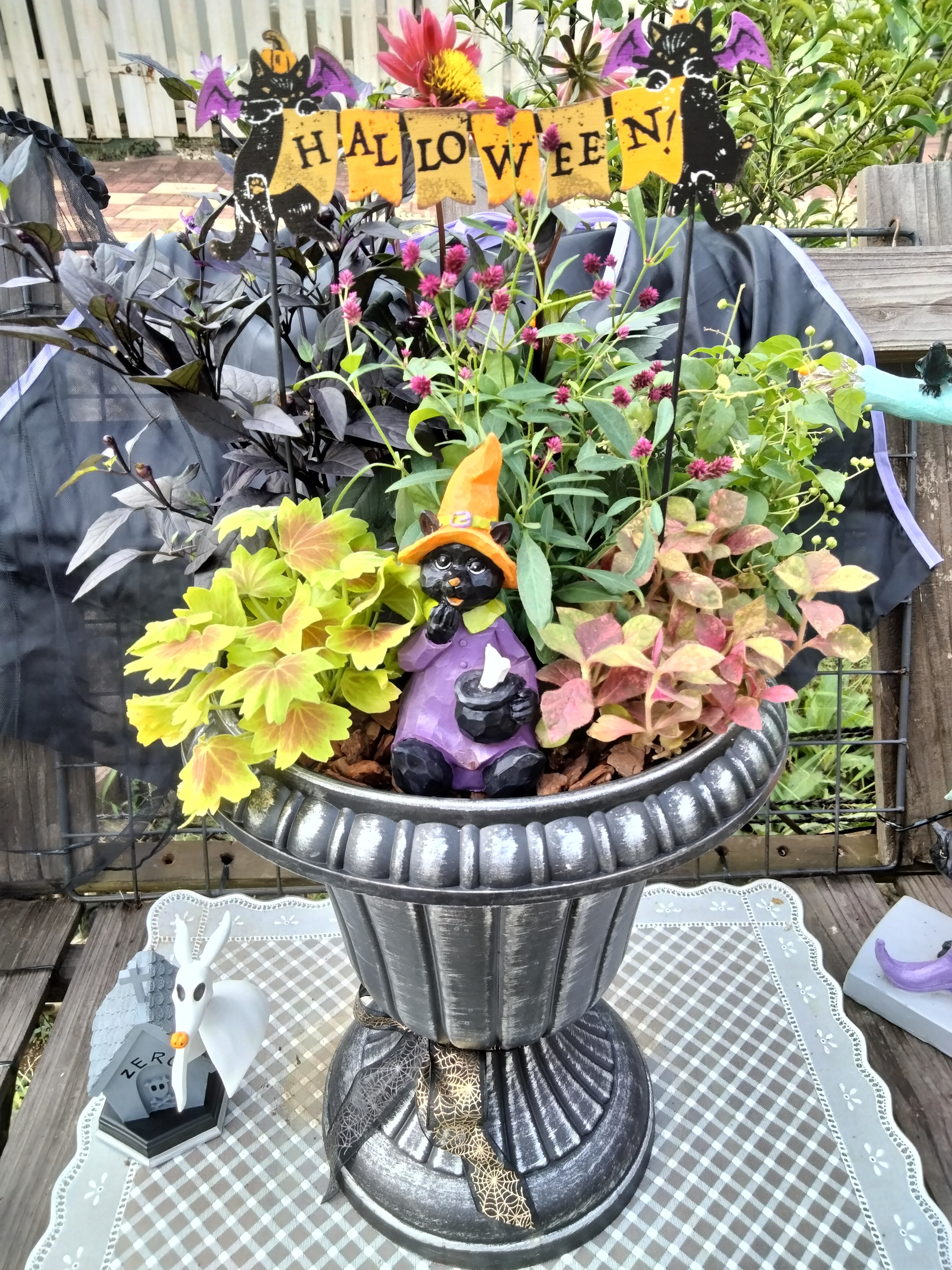 ハロウィン🎃寄植えグリーンワーク🌶️ | CAINZ DIY Square