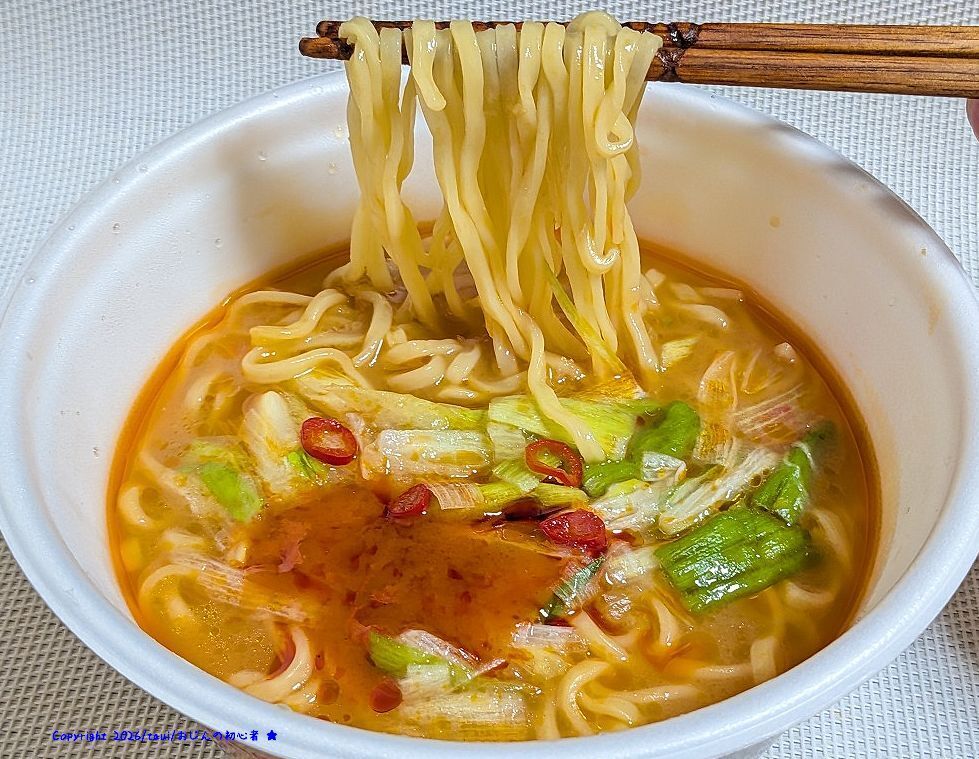 スゴ活】夏の辛味噌ねぎラーメン2026 食 | すごめんち