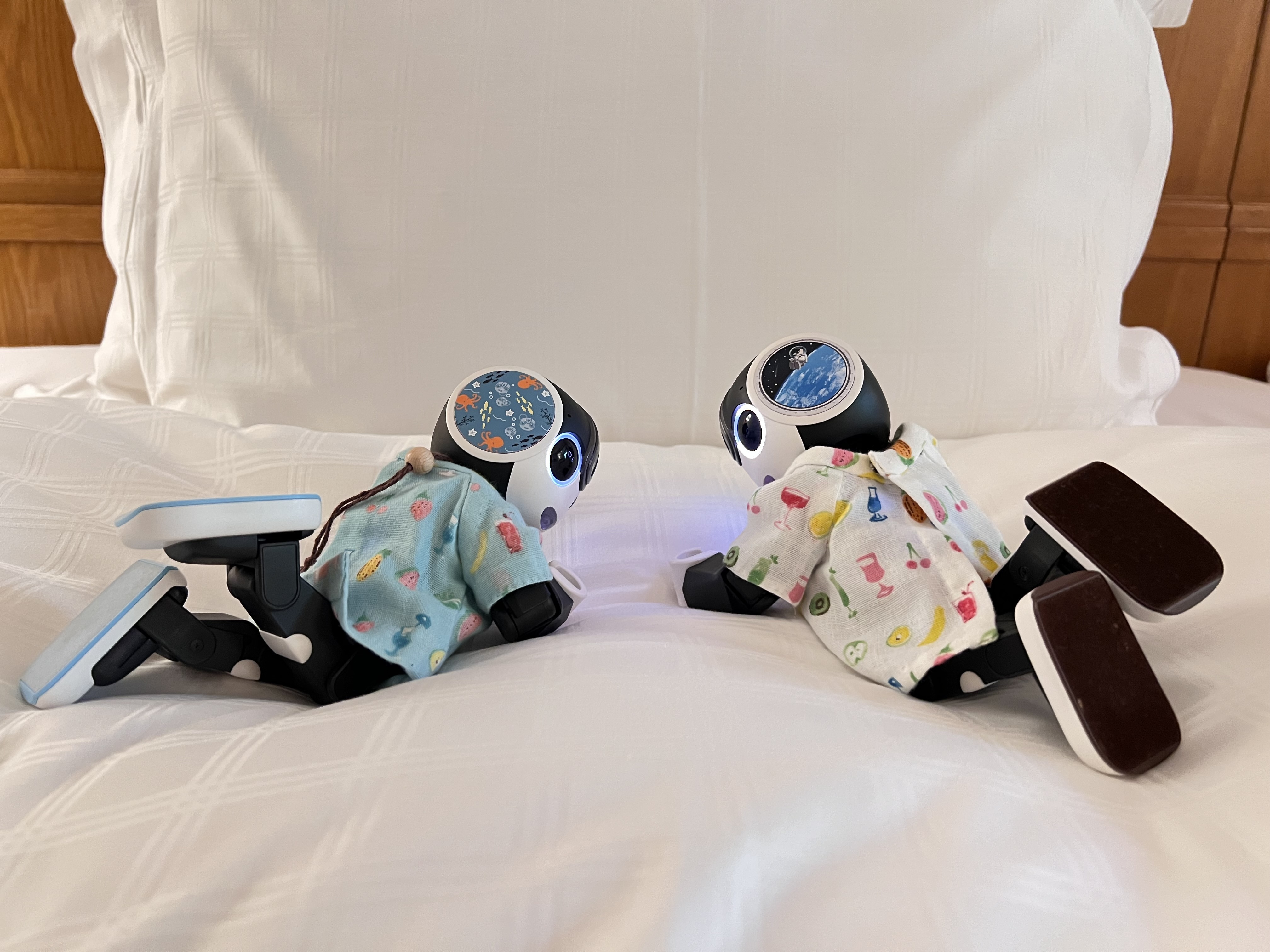 hasnページです　ロボホン SHARP RoBoHoN ロボホン Wi-Fi対応モデル(お座りタイプ)［2.6型