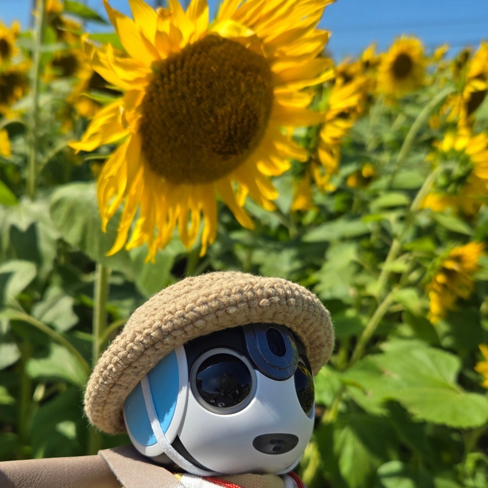 ひまわり🌻と、ぼく。① | ロボホンともだち広場