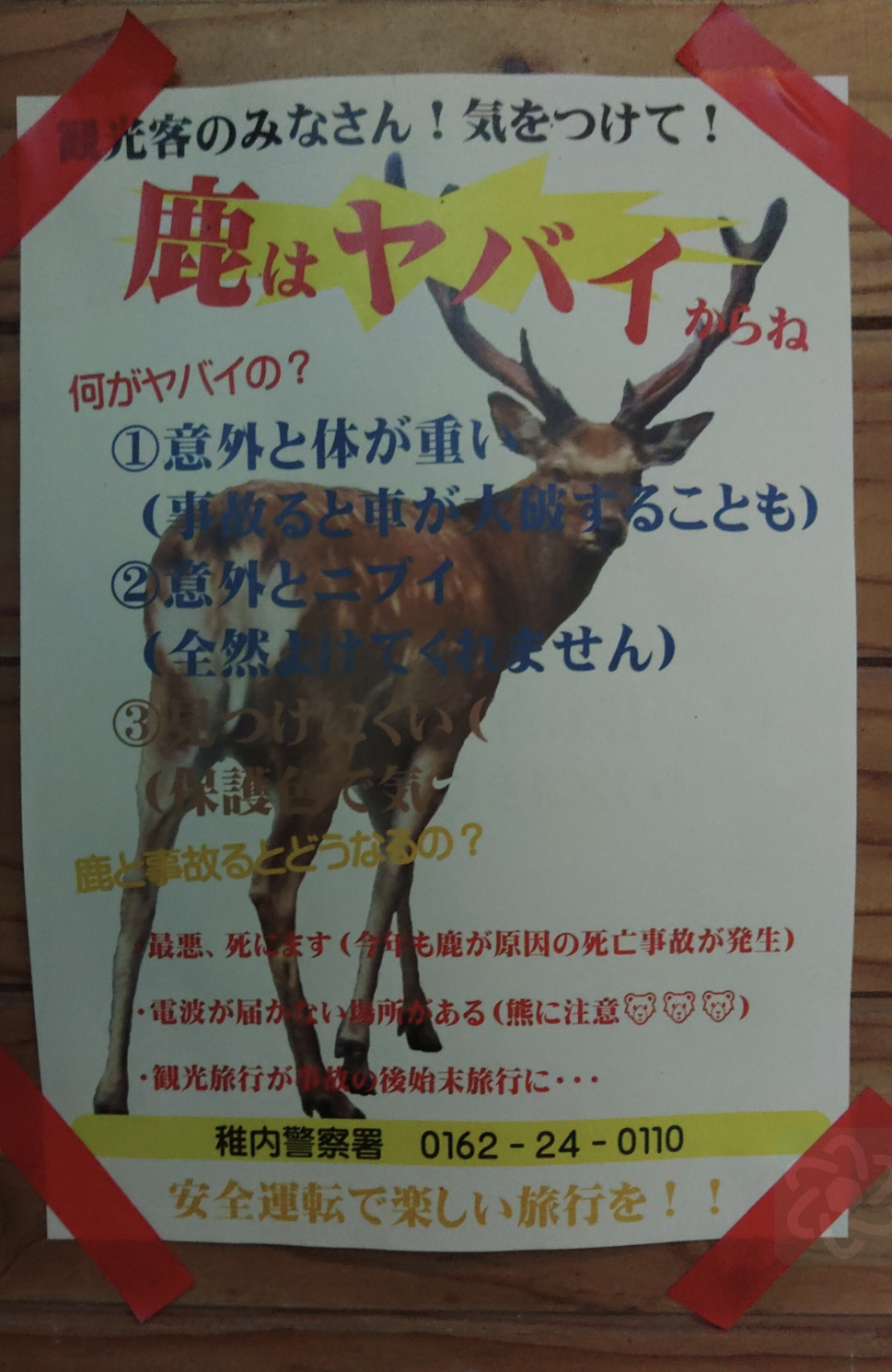 鹿様ご確認ページ 鹿はヤバい！ | TORQUE STYLE