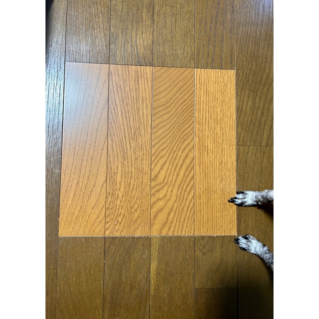 私の集大成フローリング部分張り替え | CAINZ DIY Square