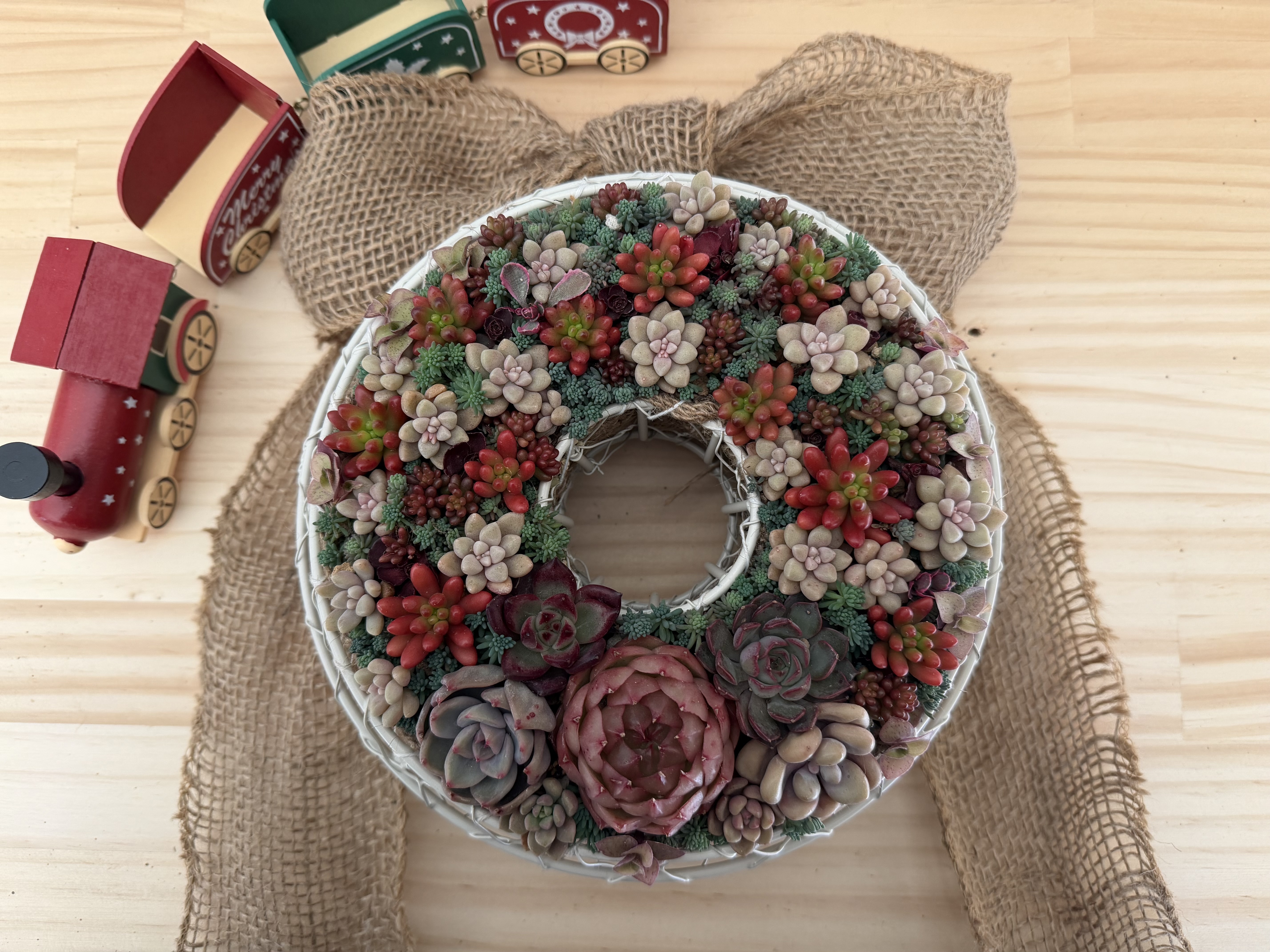 多肉のクリスマスリース2️⃣🎄 | CAINZ DIY Square