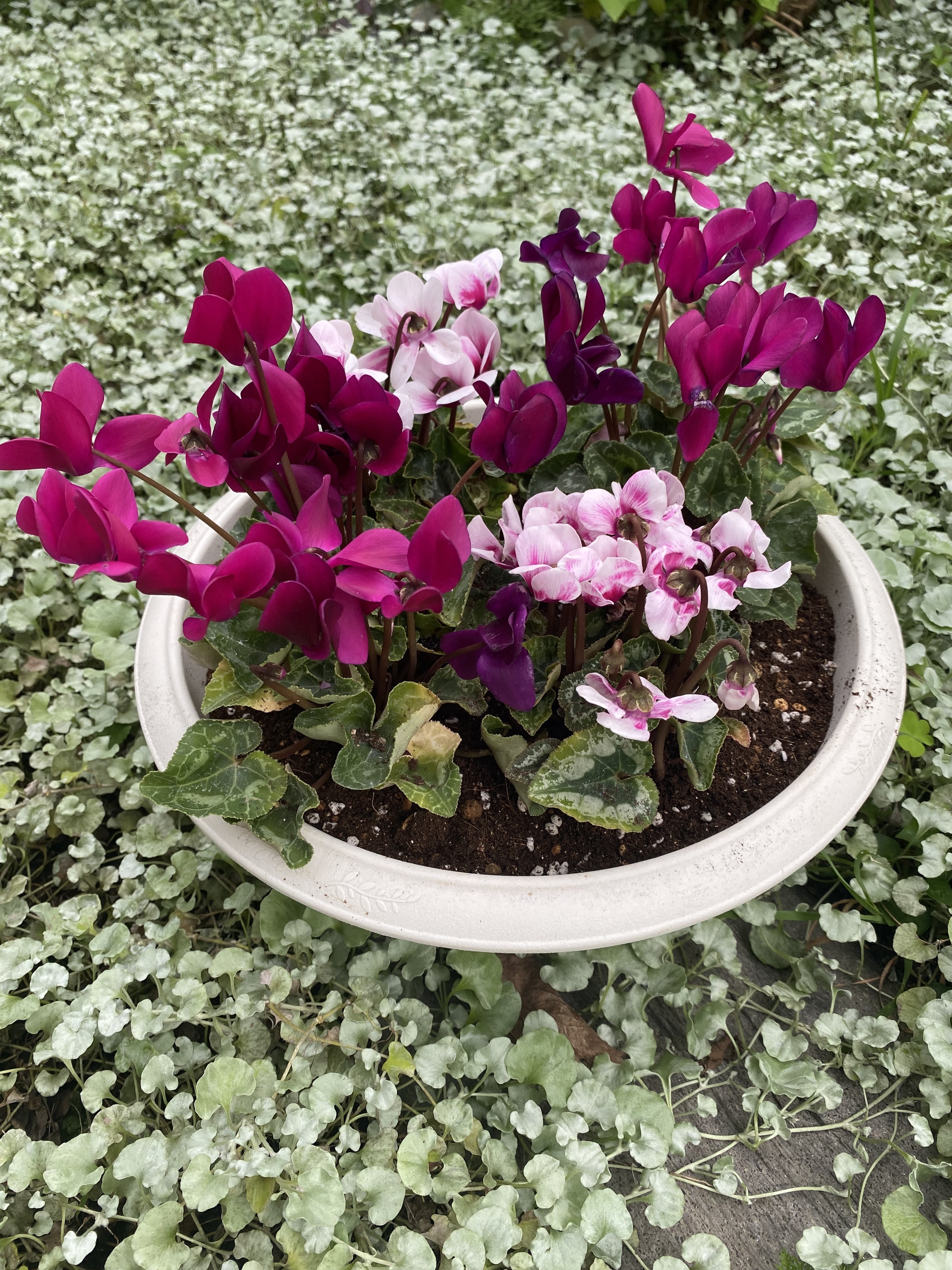 fcc75057-6084-40e0-b41e-