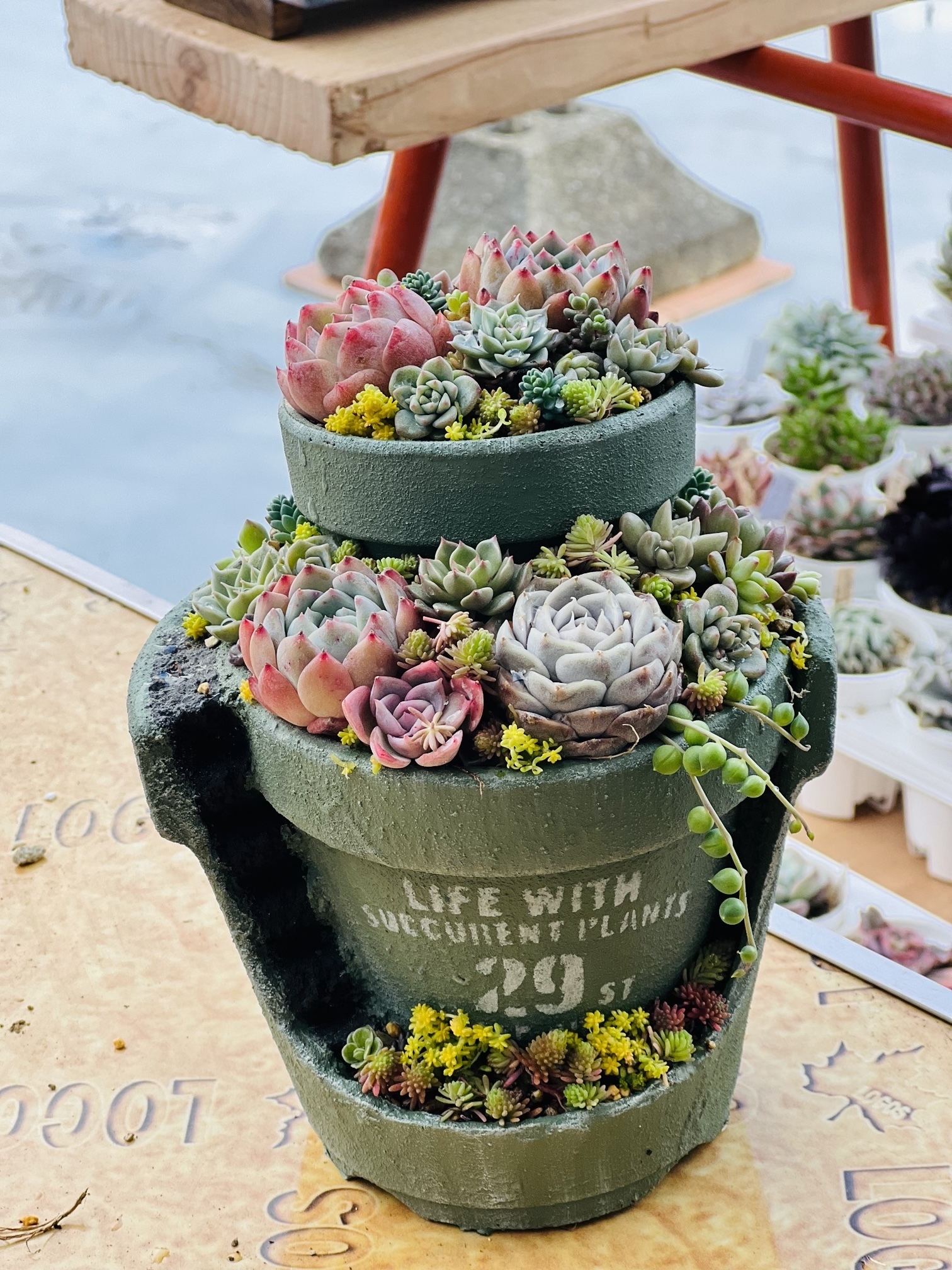 2段割れ鉢の寄せ植え | CAINZ DIY Square