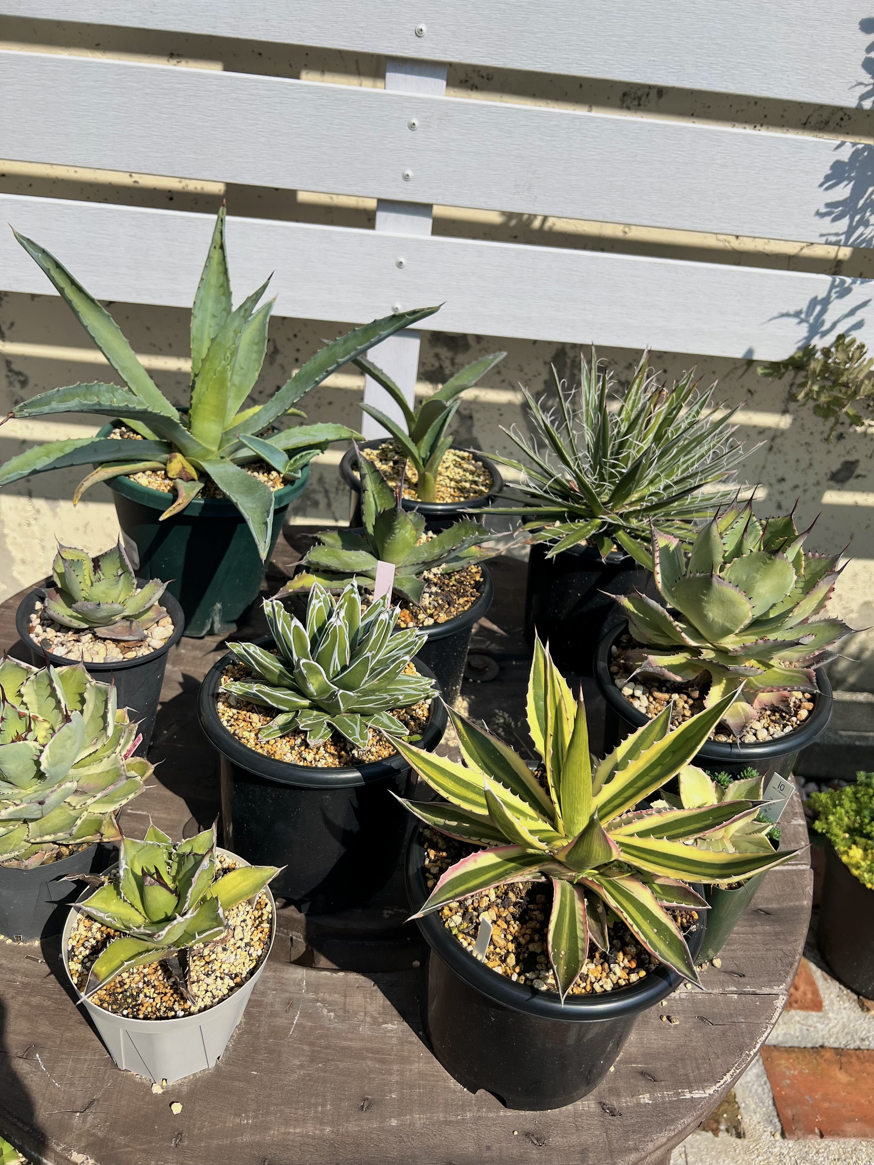 087ee9d1-22c1-4996-a955-