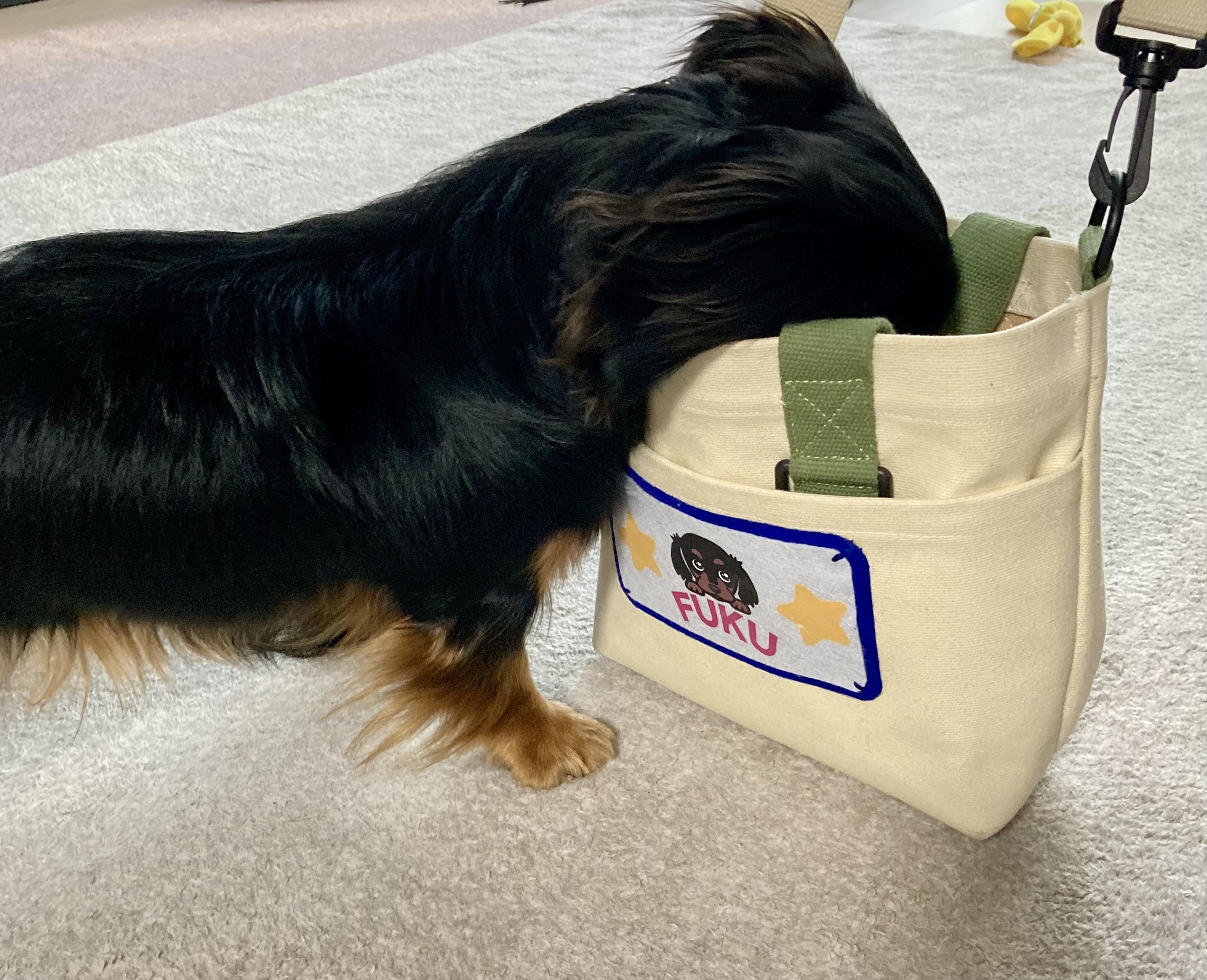 犬の幼稚園の準備