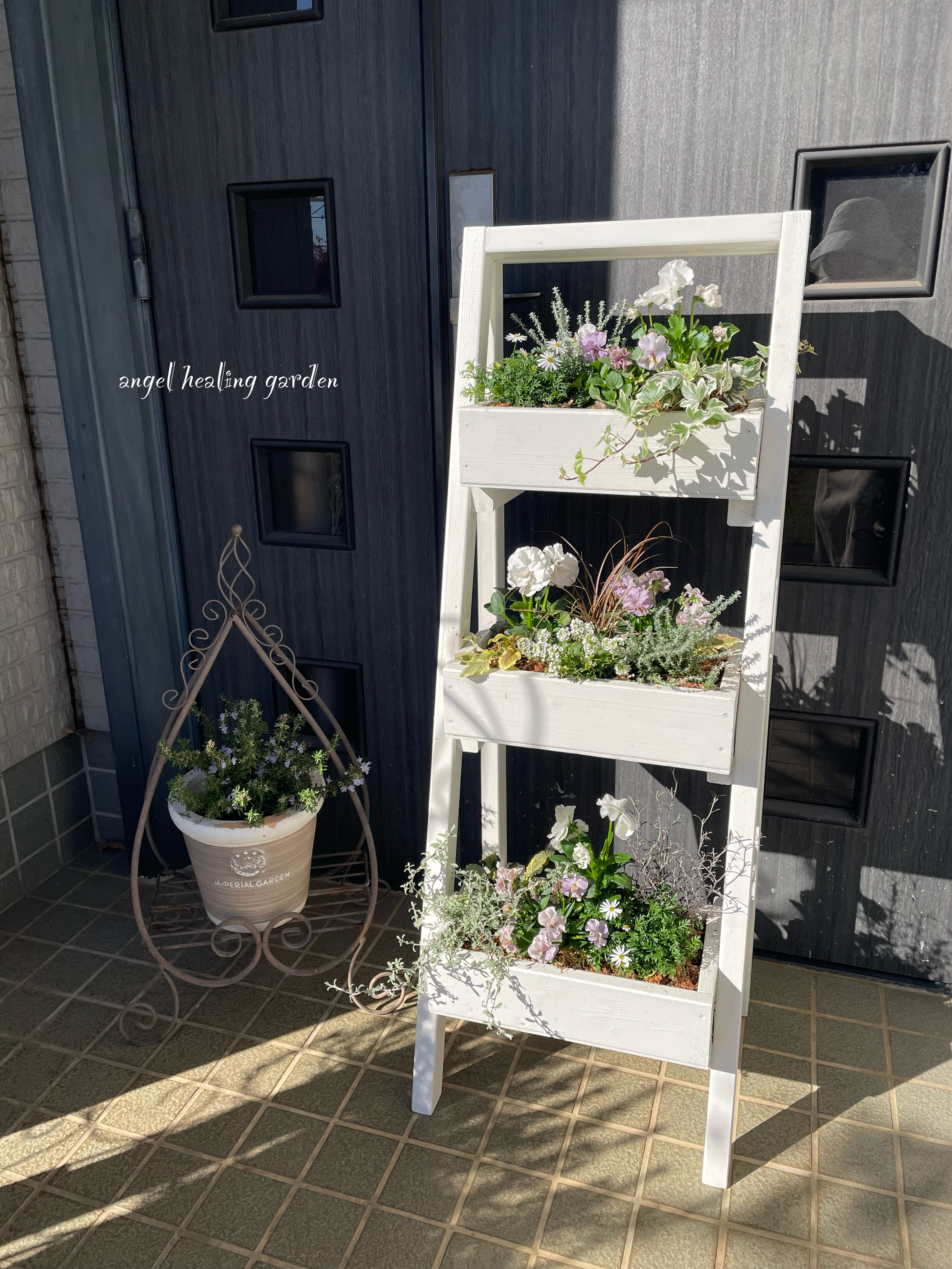 ボックス型3段シェルフに寄せ植えしてみました〜♪ | CAINZ DIY Square