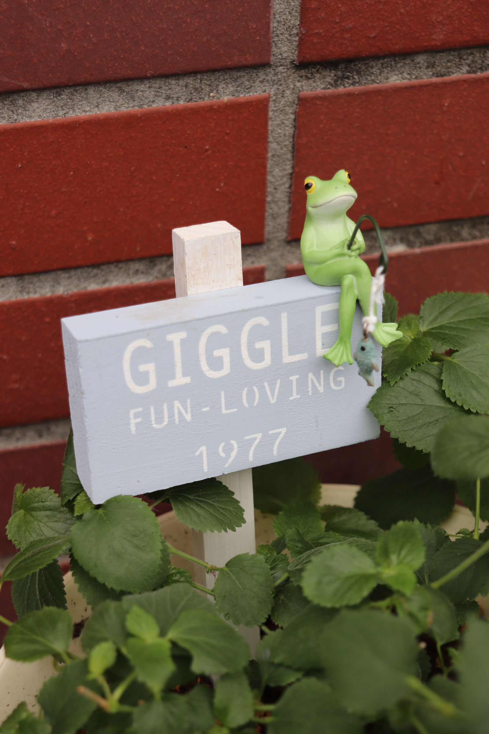 カエルちゃん❁ガーデンピックオーダー ガーデンピックに🐸🪧 | CAINZ DIY Square